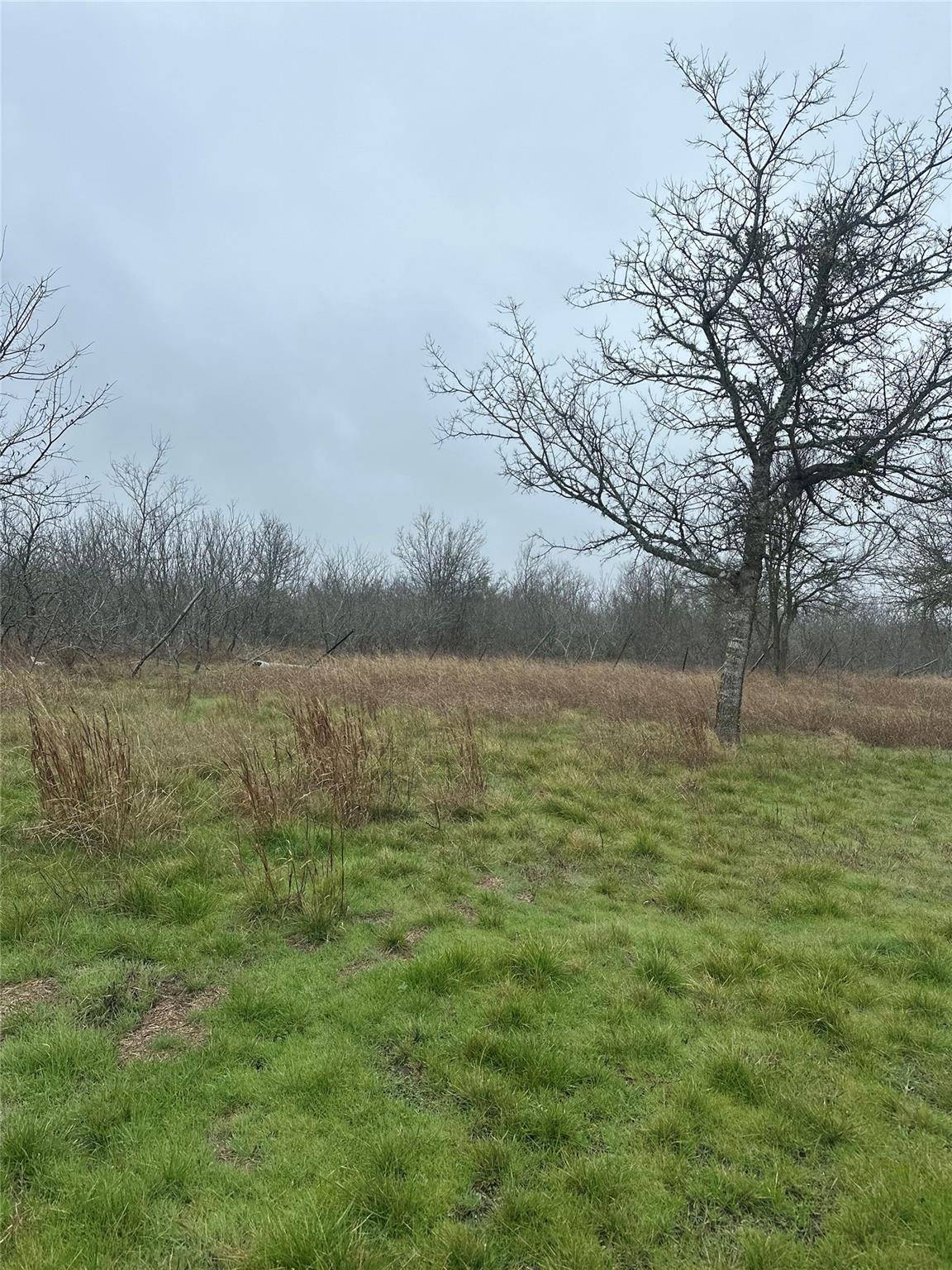 Dale, TX 78616,112 Michoacan LN