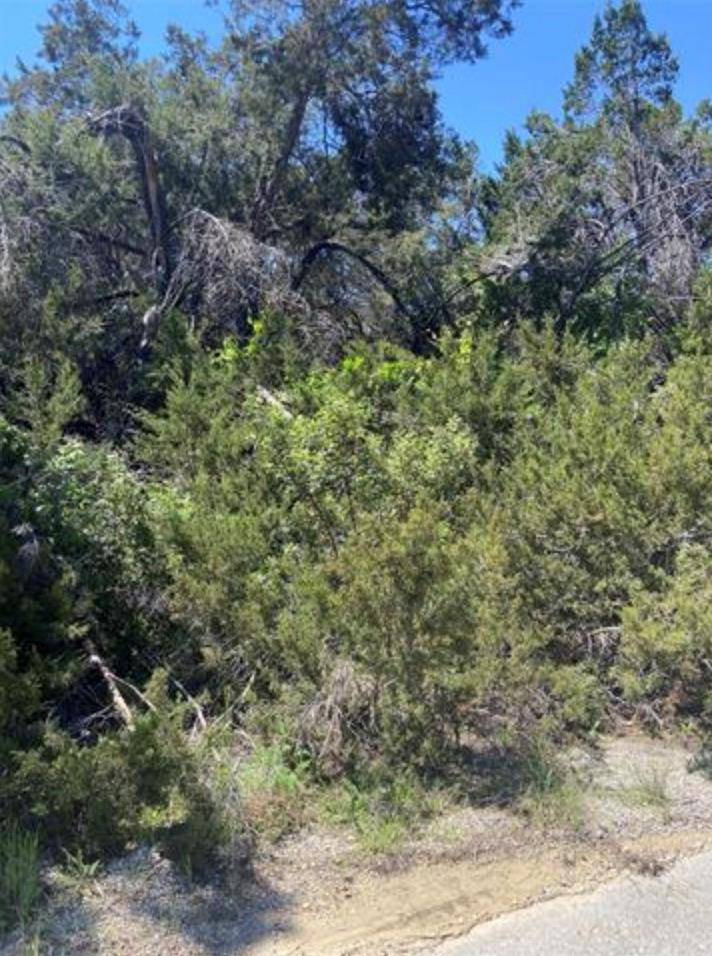 Lago Vista, TX 78645,20601 Oxbow TRL