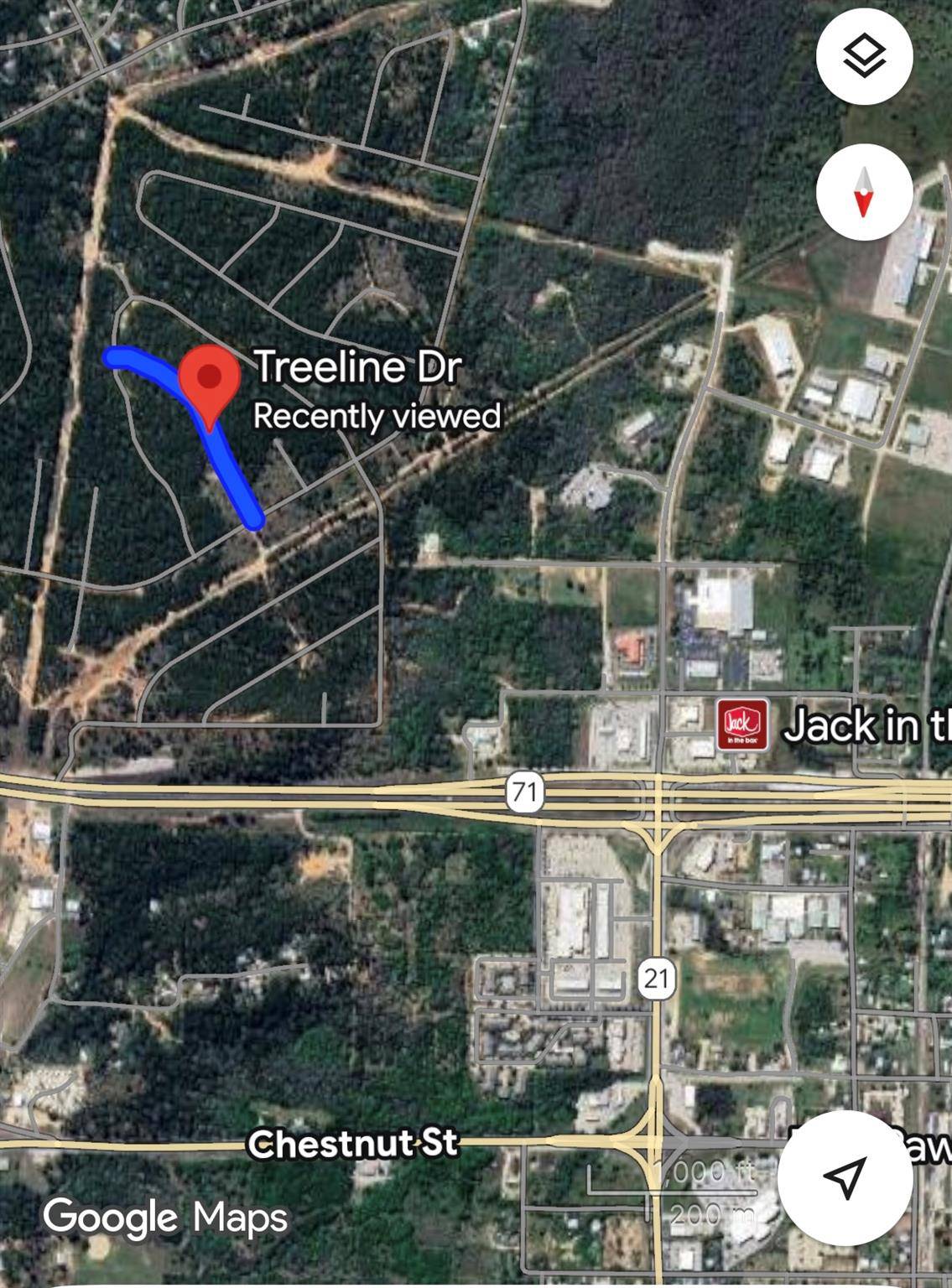 Bastrop, TX 78602,TBD Treeline DR