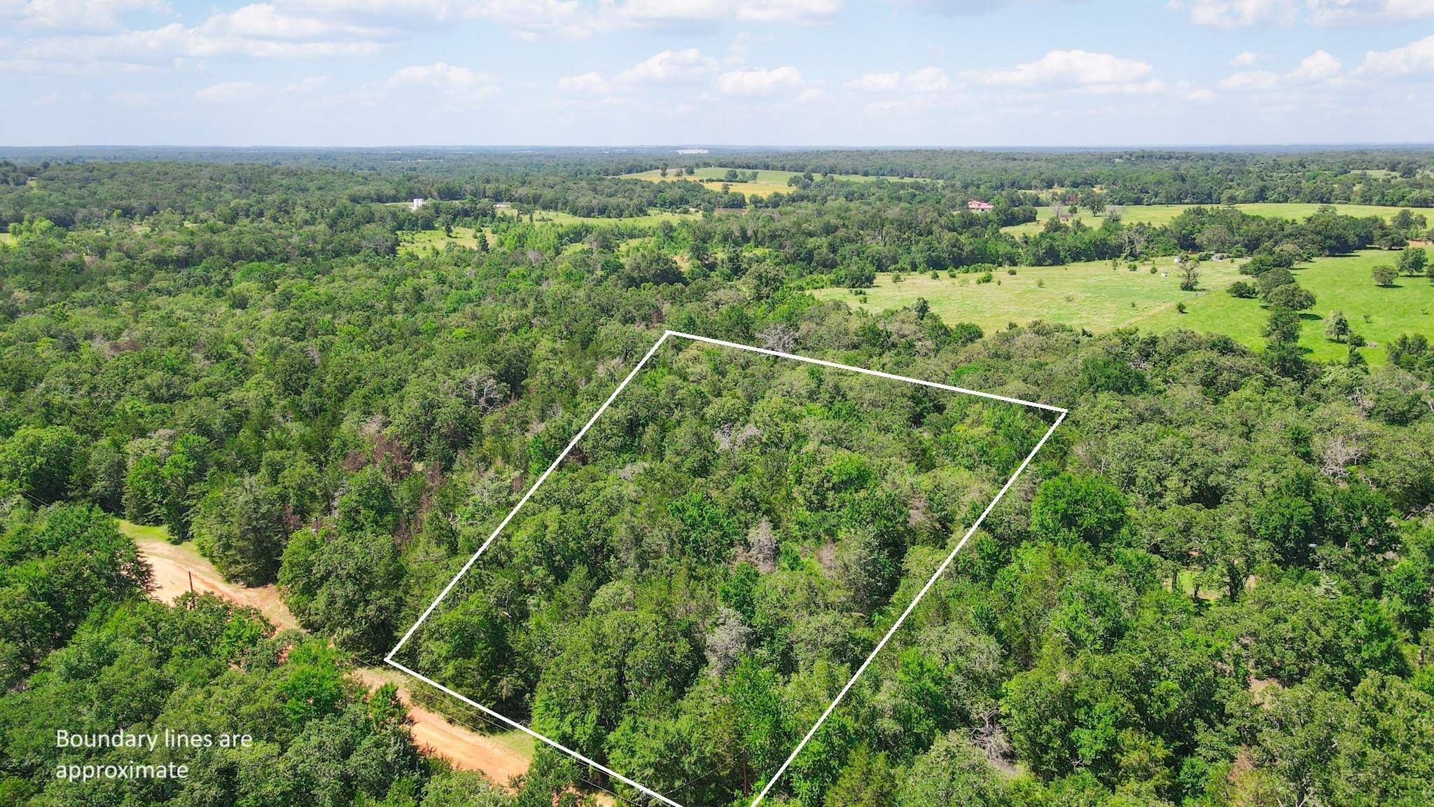 Caldwell, TX 77836,TBD (+/- 2.5 Acres) Cedar Creek