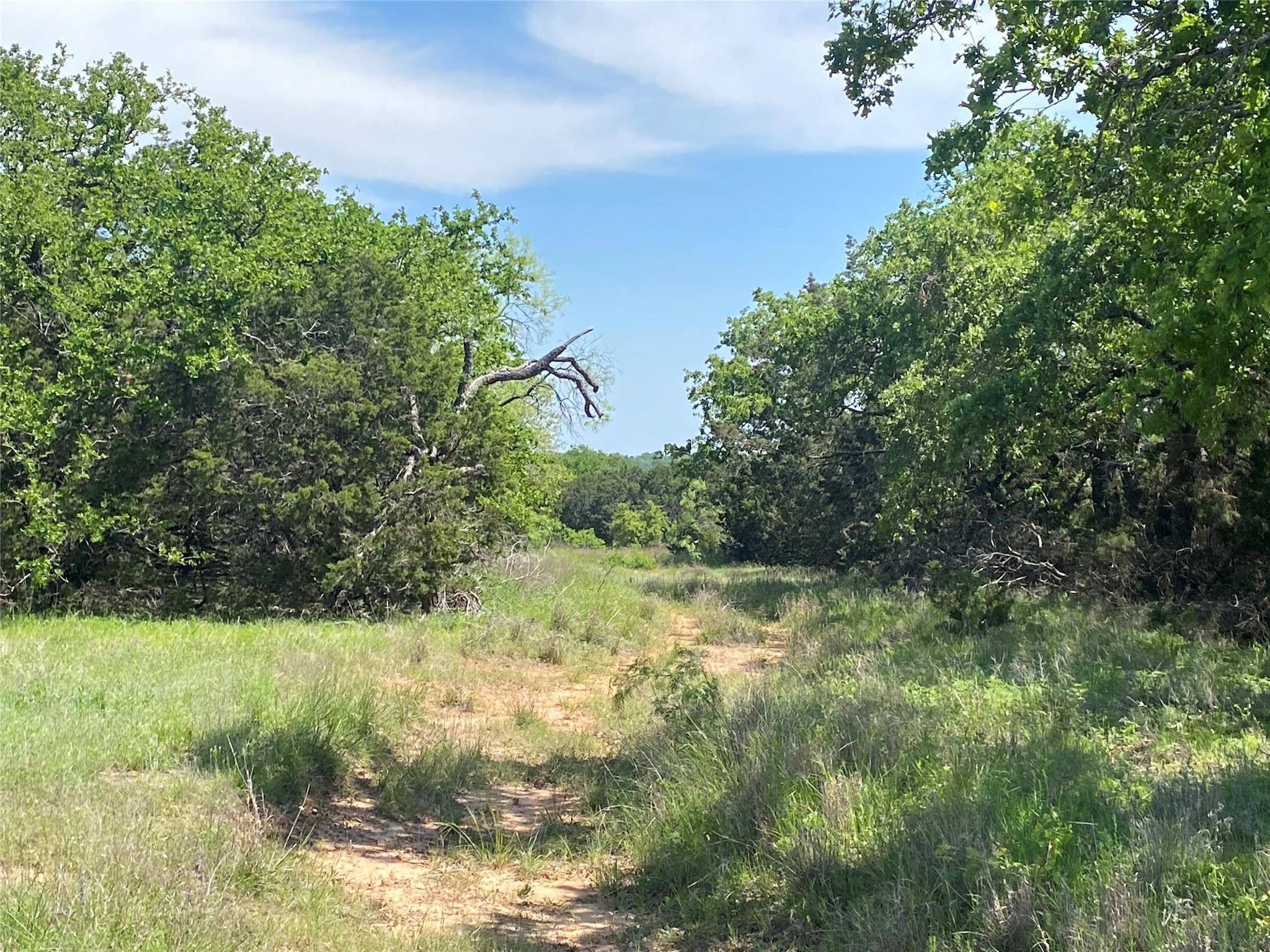 Evant, TX 76525,TBD (Lot 40) Private Road 42107