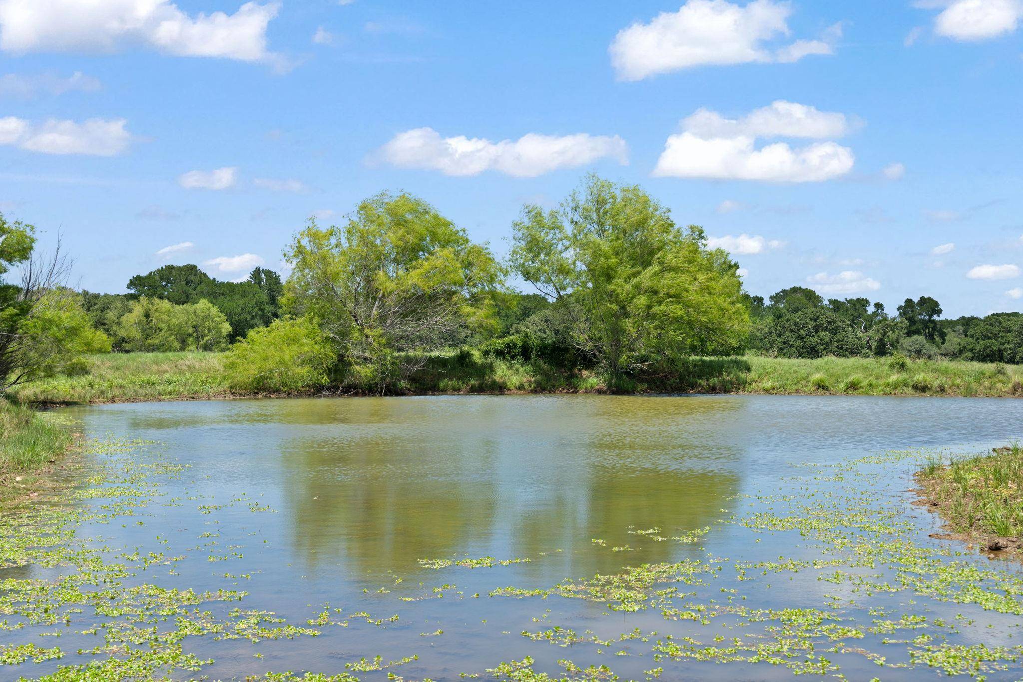 Paige, TX 78659,1010 Saint Delight RD