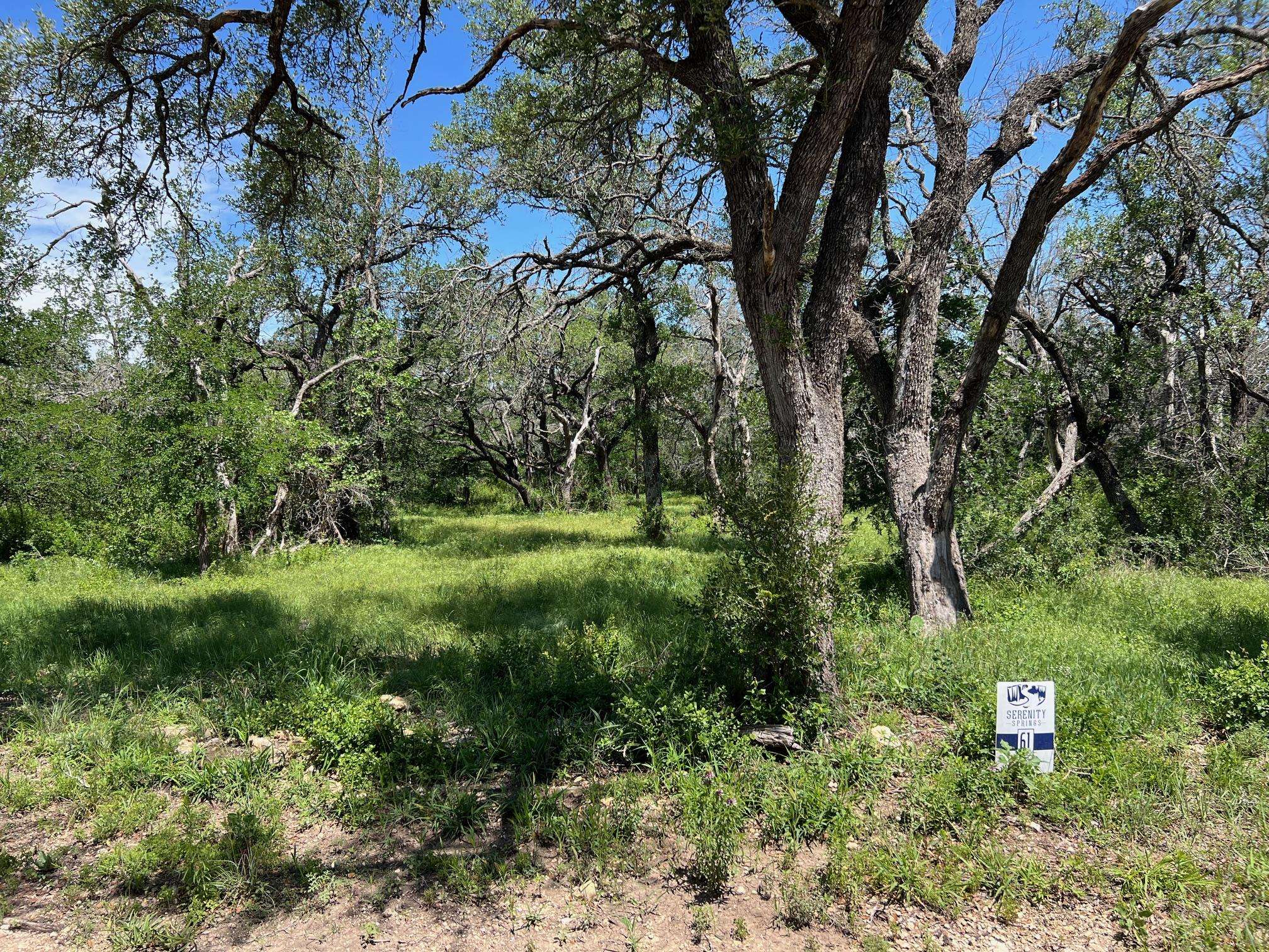 Bertram, TX 78605,Lot 61 Rycen DR