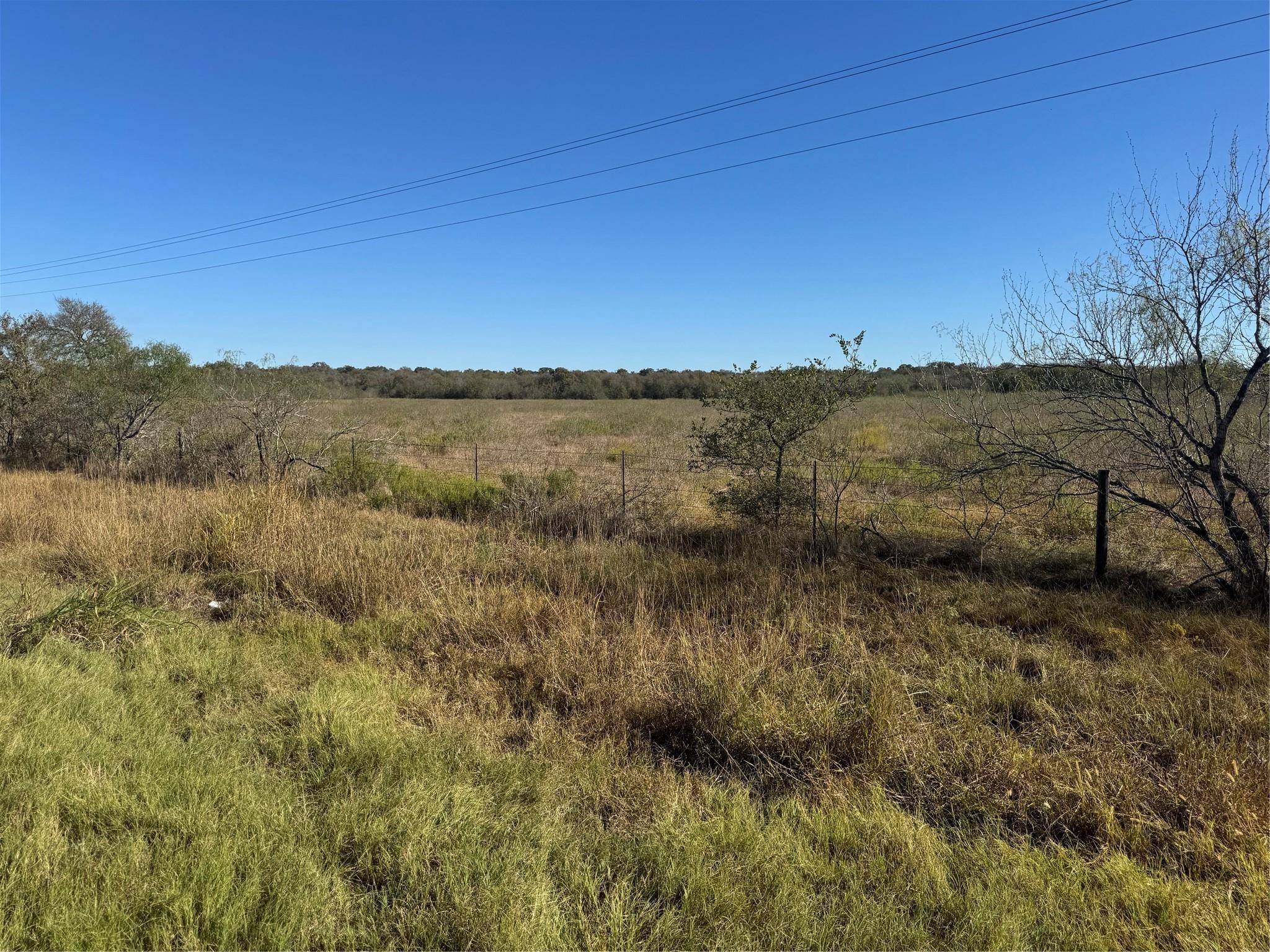 Cedar Creek, TX 78612,TBD FM-535 RD