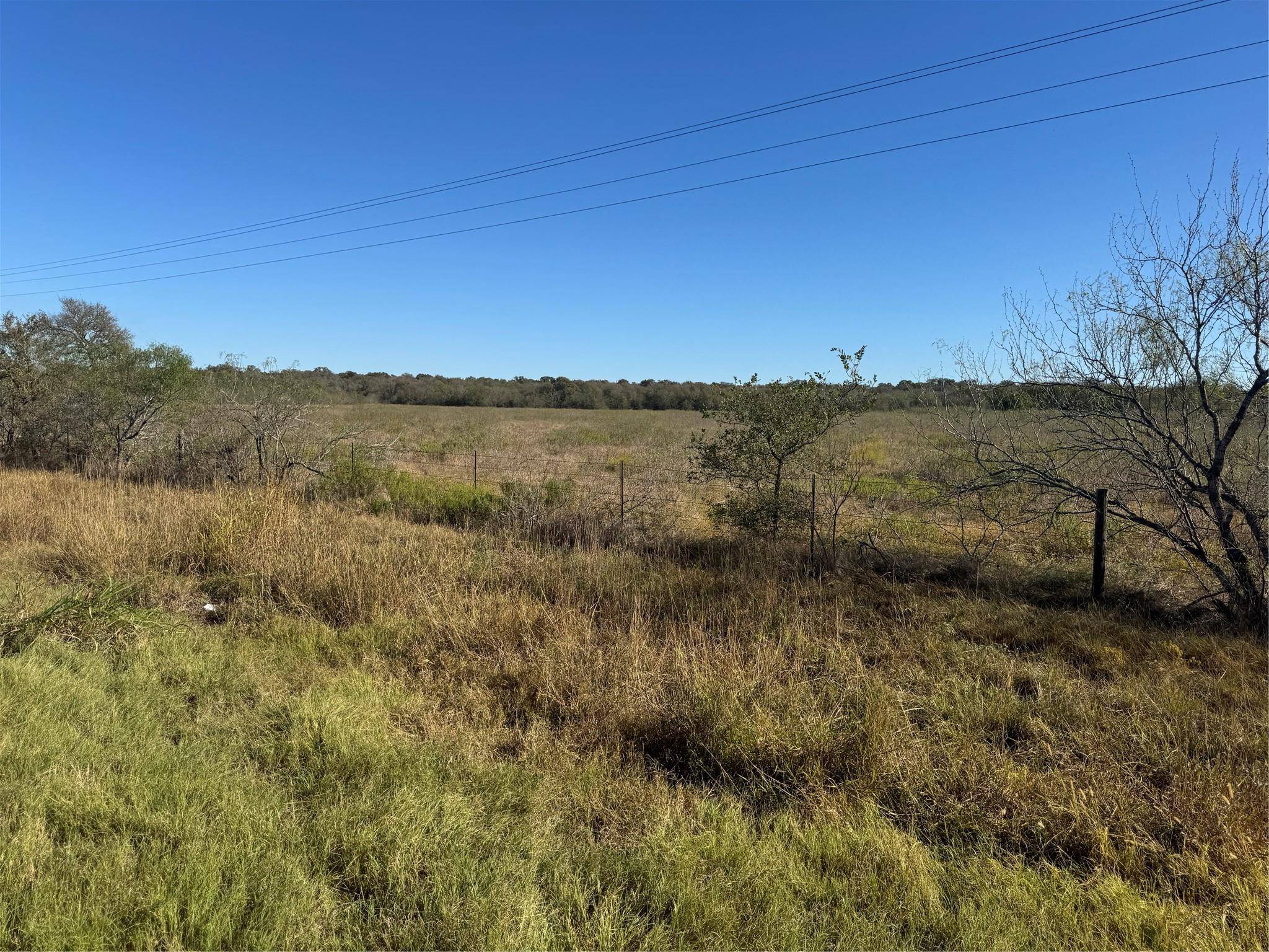 Cedar Creek, TX 78612,TBD FM-535 RD