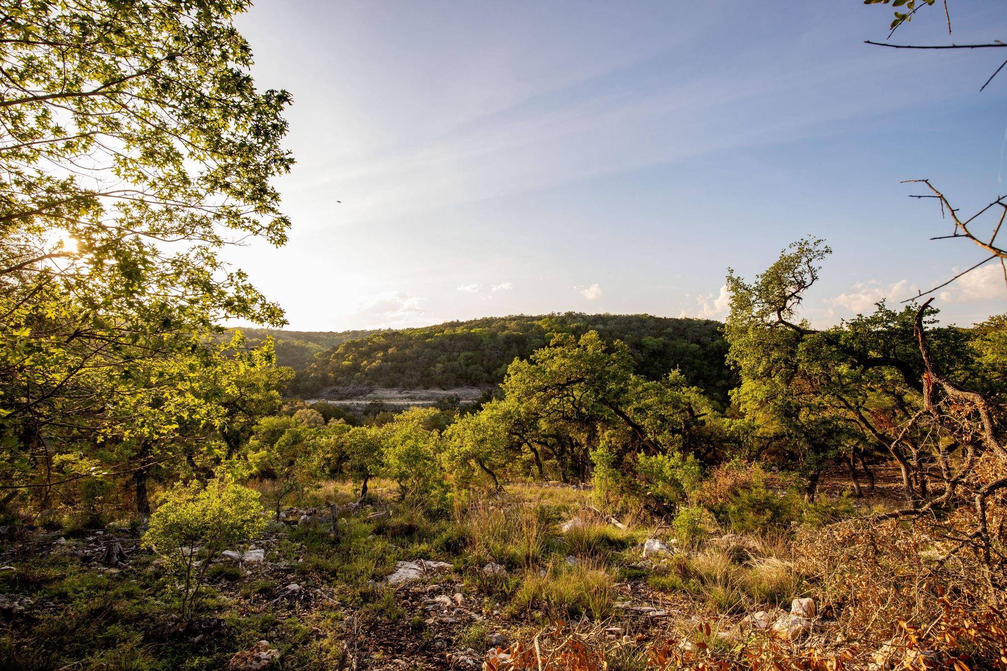New Braunfels, TX 78132,1333 Powder Ridge RD