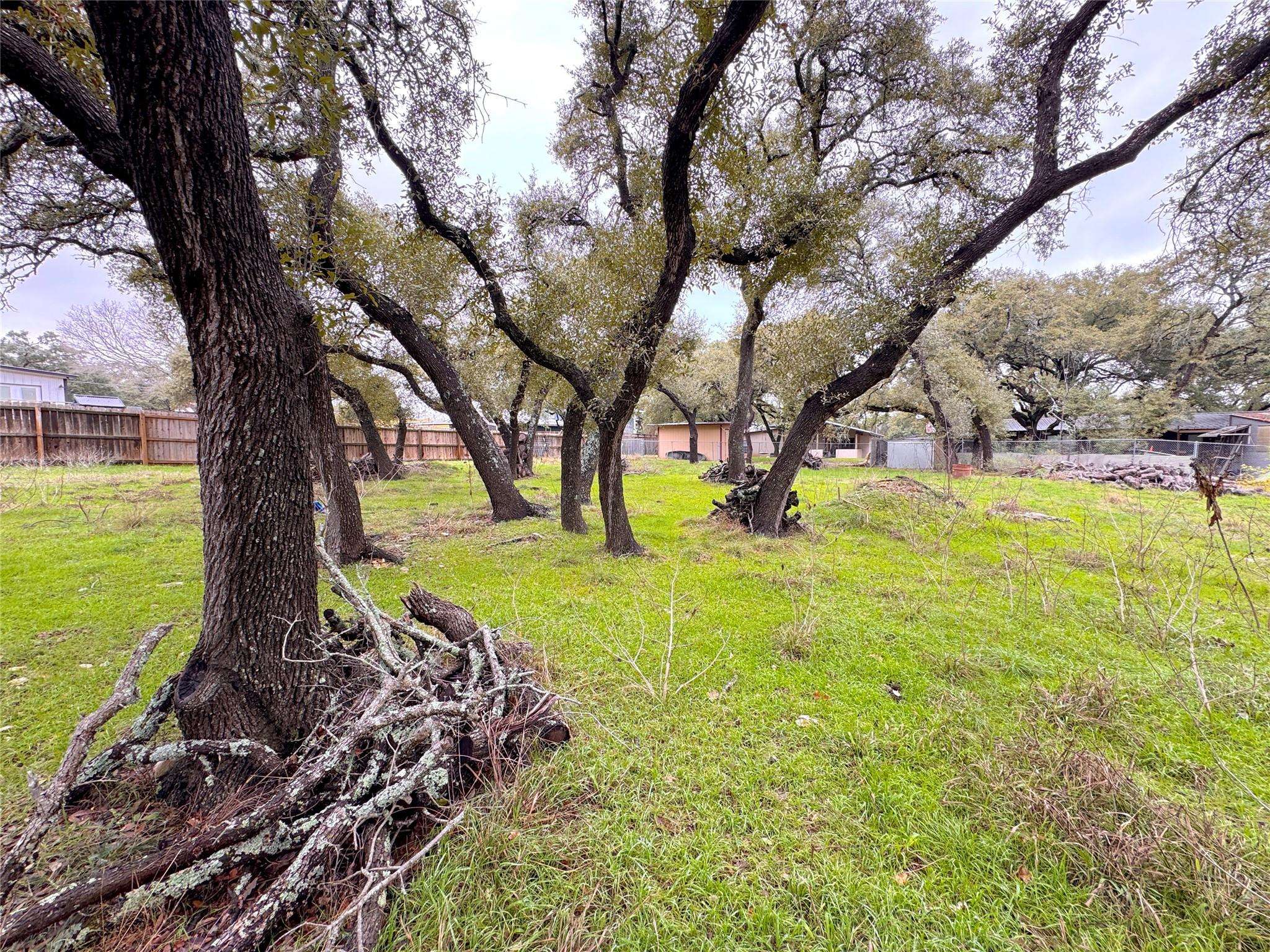 Canyon Lake, TX 78133,TBD Irene DR #Lot 591