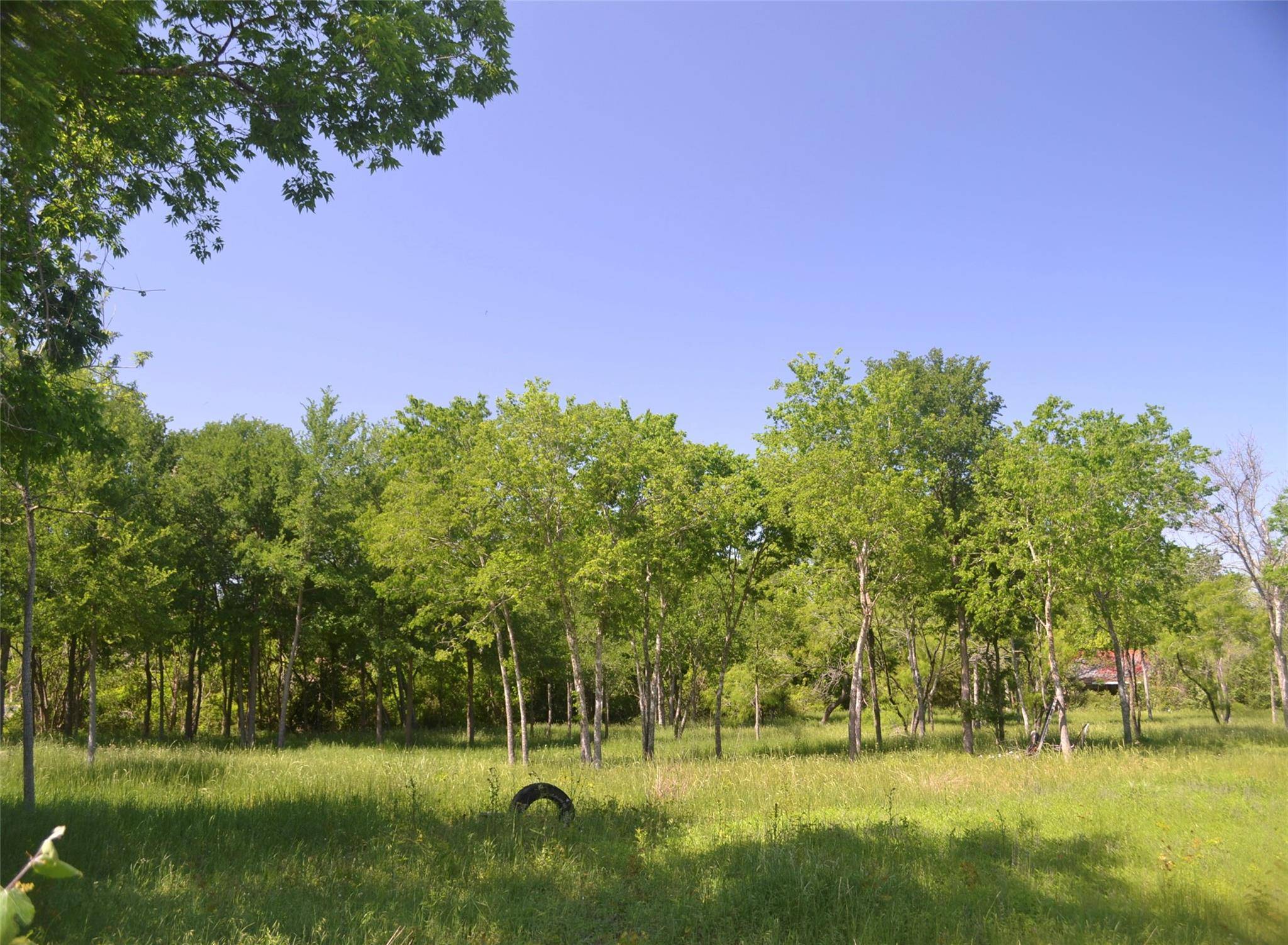 Elgin, TX 78621,699 TBD Q S Goins LN