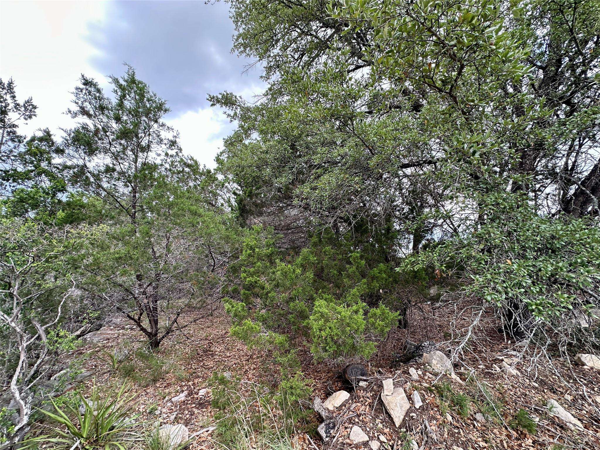 Lago Vista, TX 78645,3214 Hamilton Ave