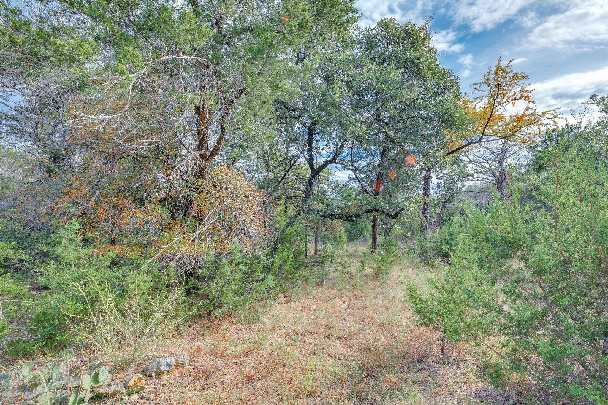 Marble Falls, TX 78654,0 Travis Oaks DR