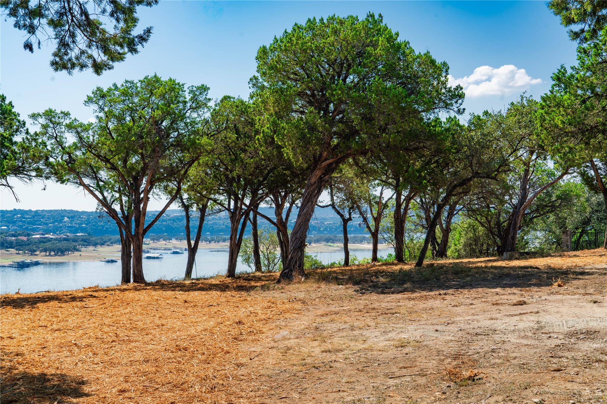 Spicewood, TX 78669,720 S Angel Light DR