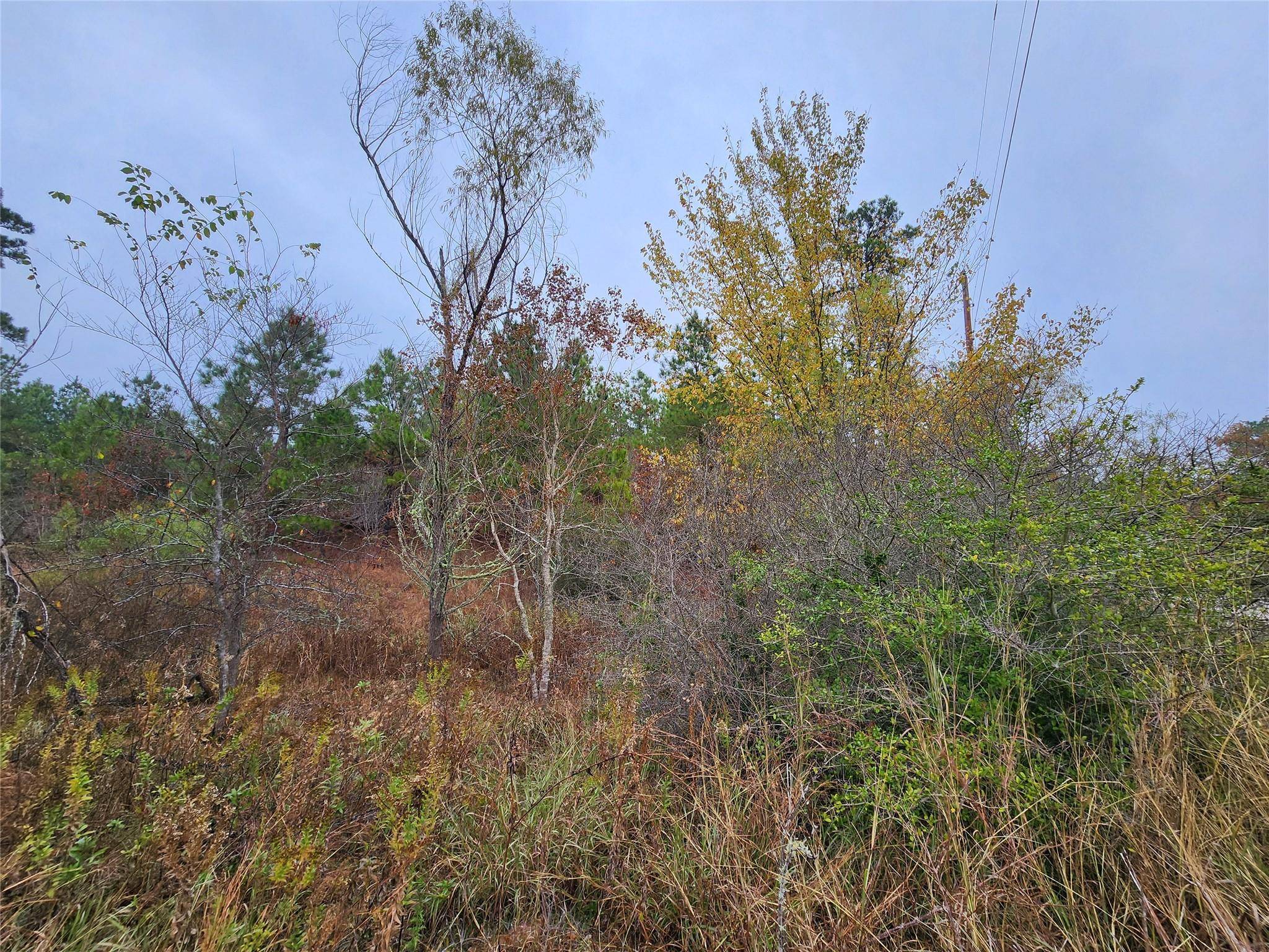 Bastrop, TX 78602,LOT 636 & 637 Mahalo CT