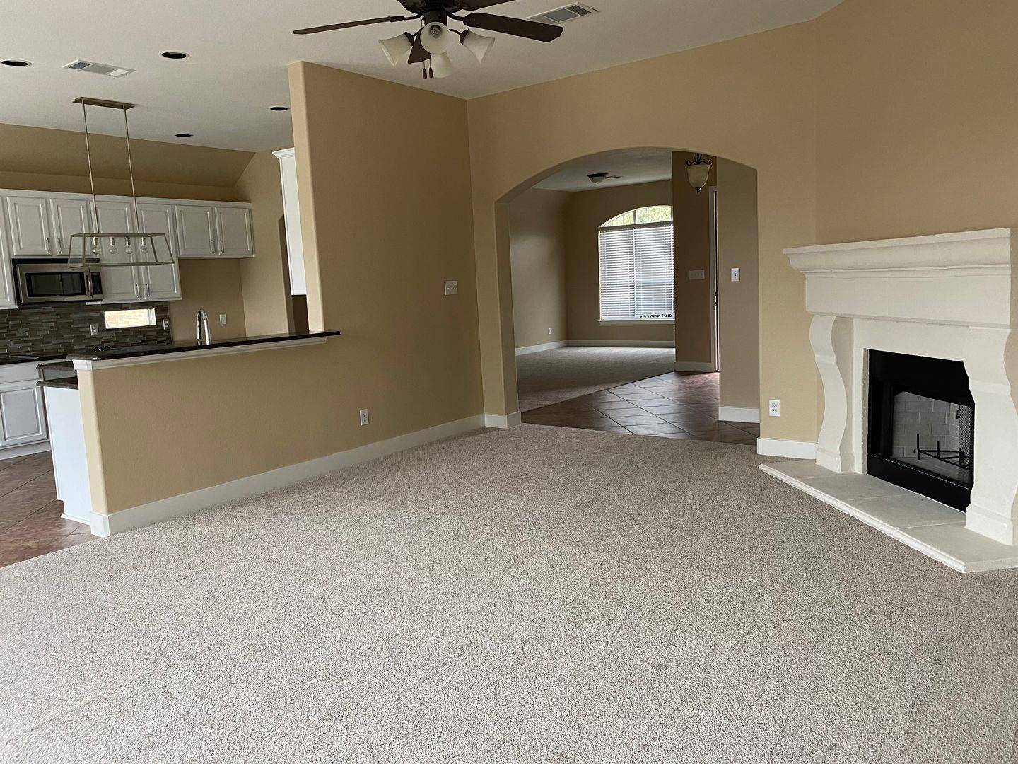 Georgetown, TX 78628,302 Las Colinas DR