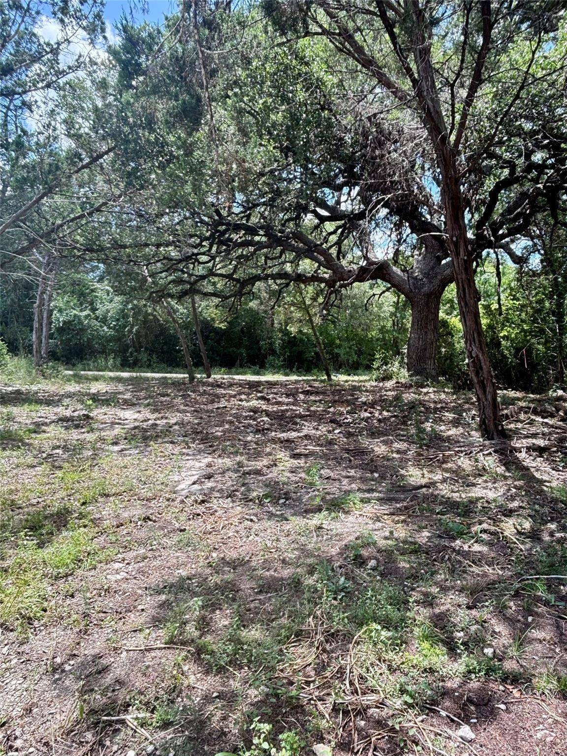 Spring Branch, TX 78070,TBD S Contour DR