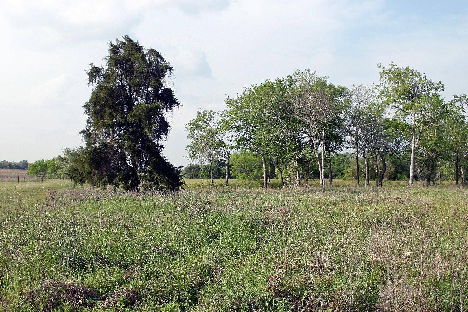 Lockhart, TX 78644,3223 Old Kelley RD