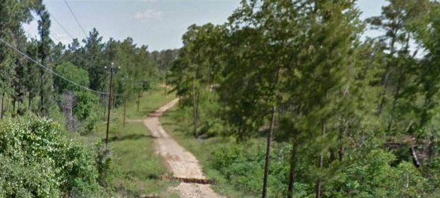 Bastrop, TX 78602,Lot 233 MAKAHA DR