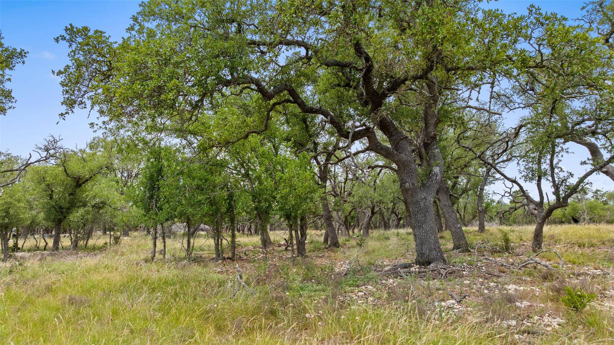 Harper, TX 78631,65 Miles Lane