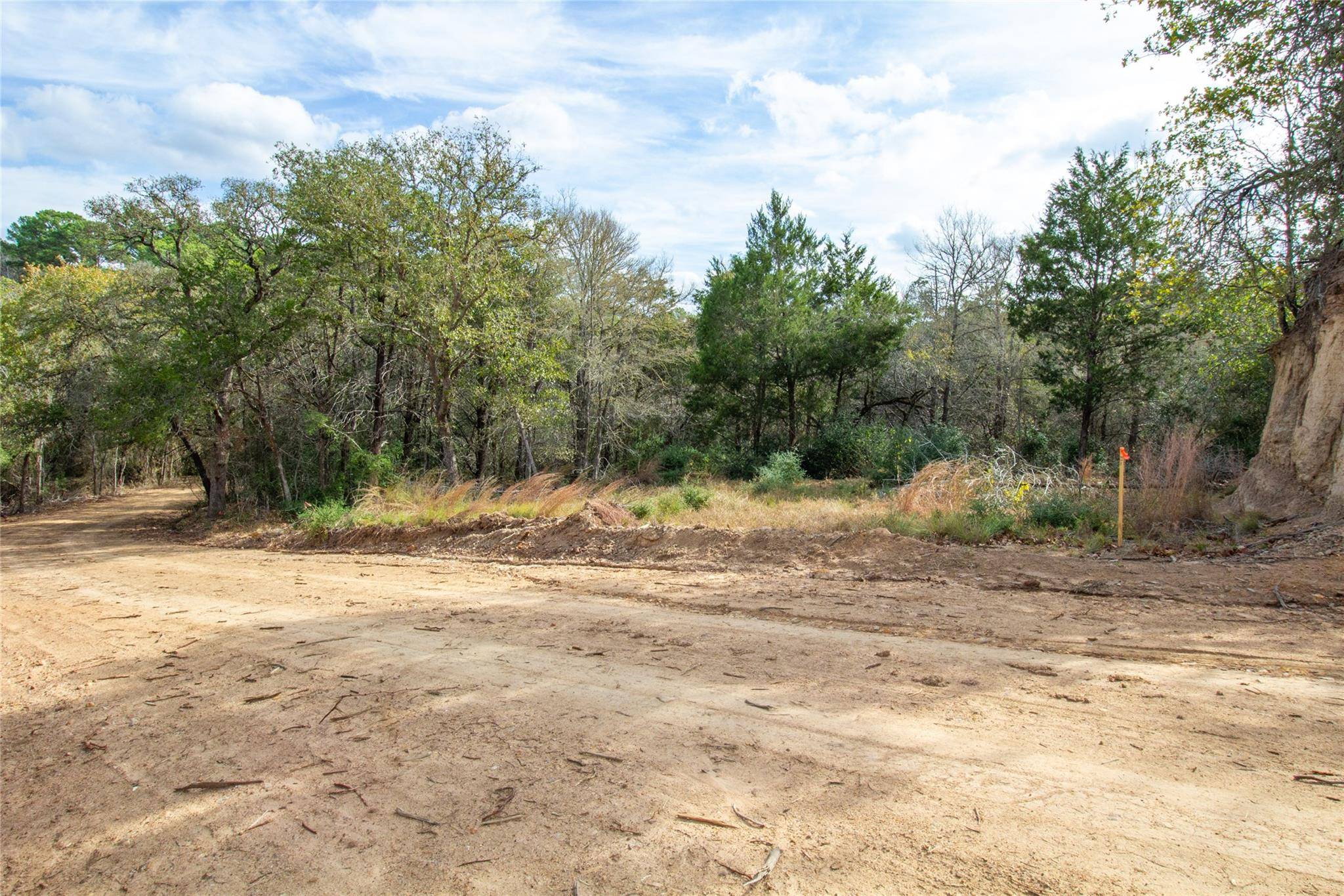 Bastrop, TX 78602,TBD Hanauma