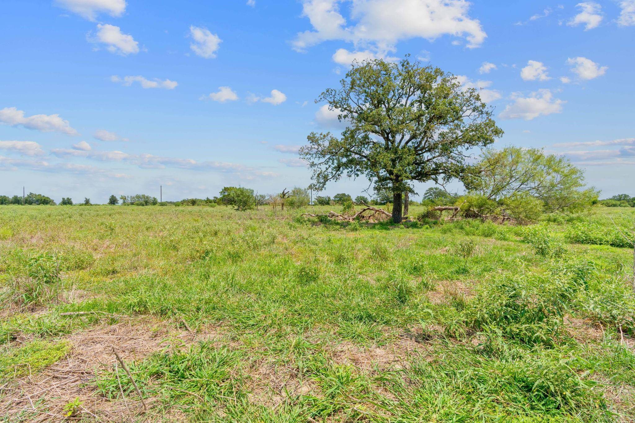 Flatonia, TX 78632,Lot 1 County Road 406