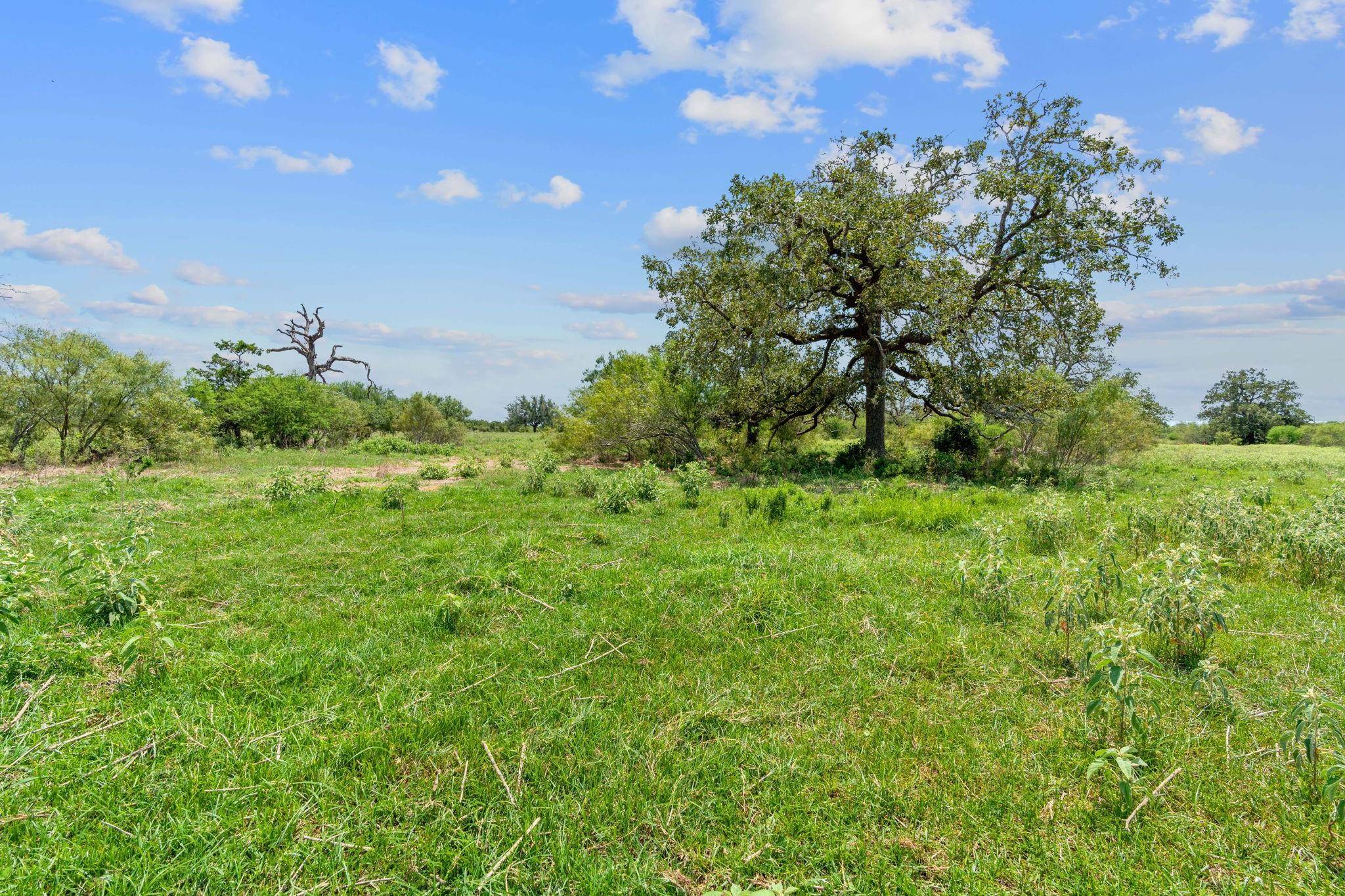 Flatonia, TX 78632,Lot 1 County Road 406