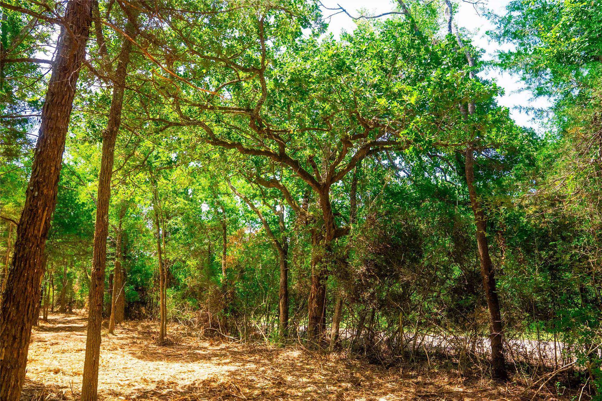 Calvert, TX 77859,12608 Red Hill RD