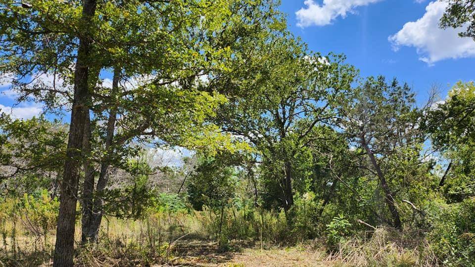 Bertram, TX 78605,2.07 ac Lot 14 FM 243