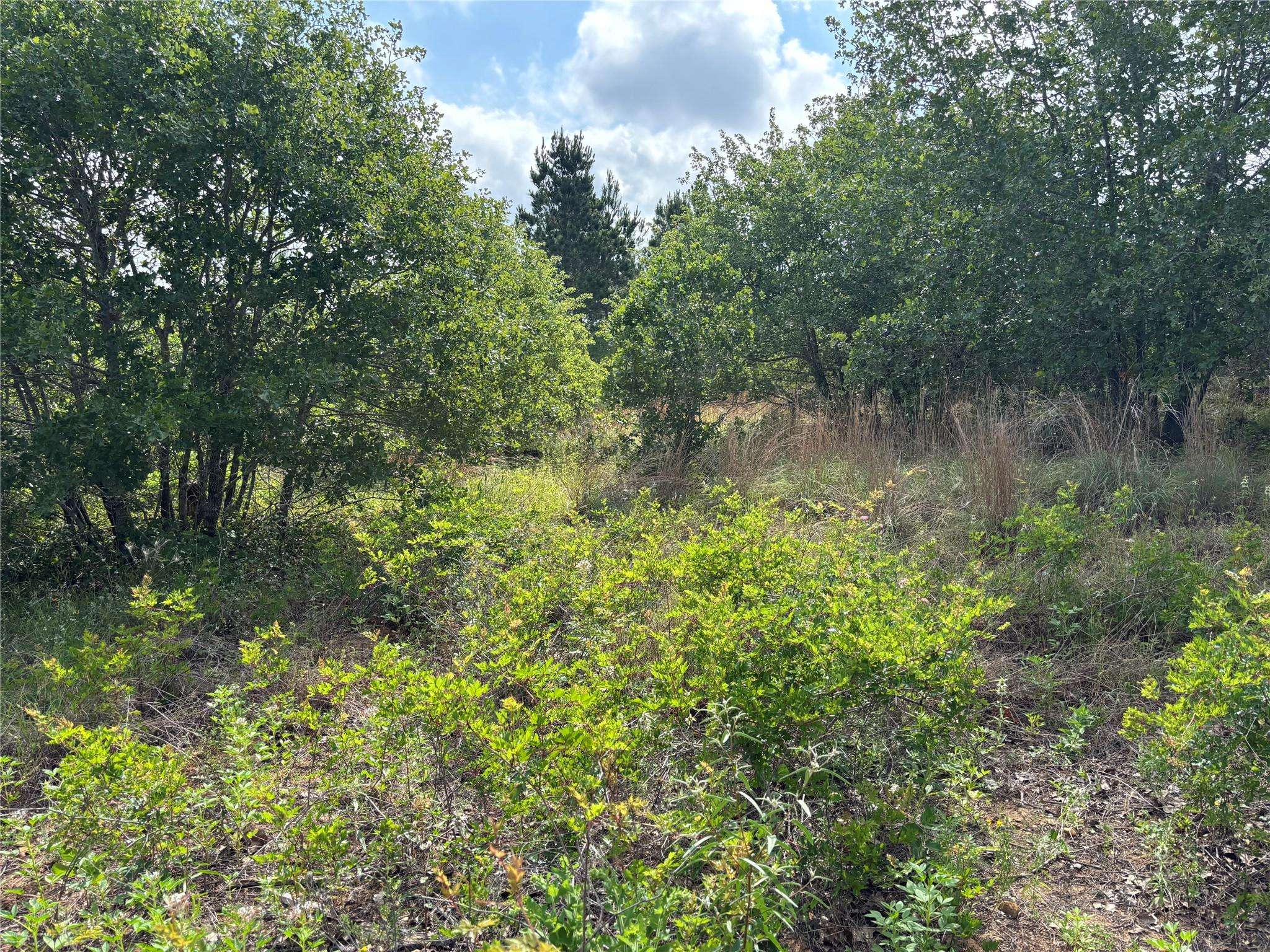 Bastrop, TX 78602,101 Homonu CT