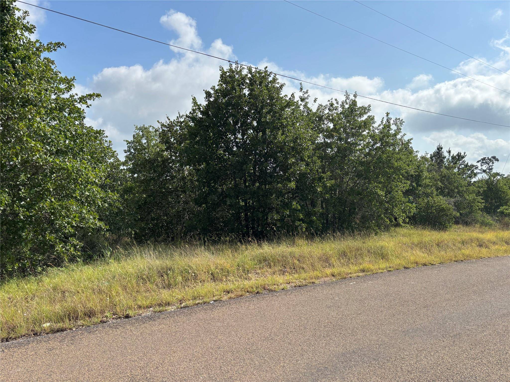 Bastrop, TX 78602,101 Homonu CT