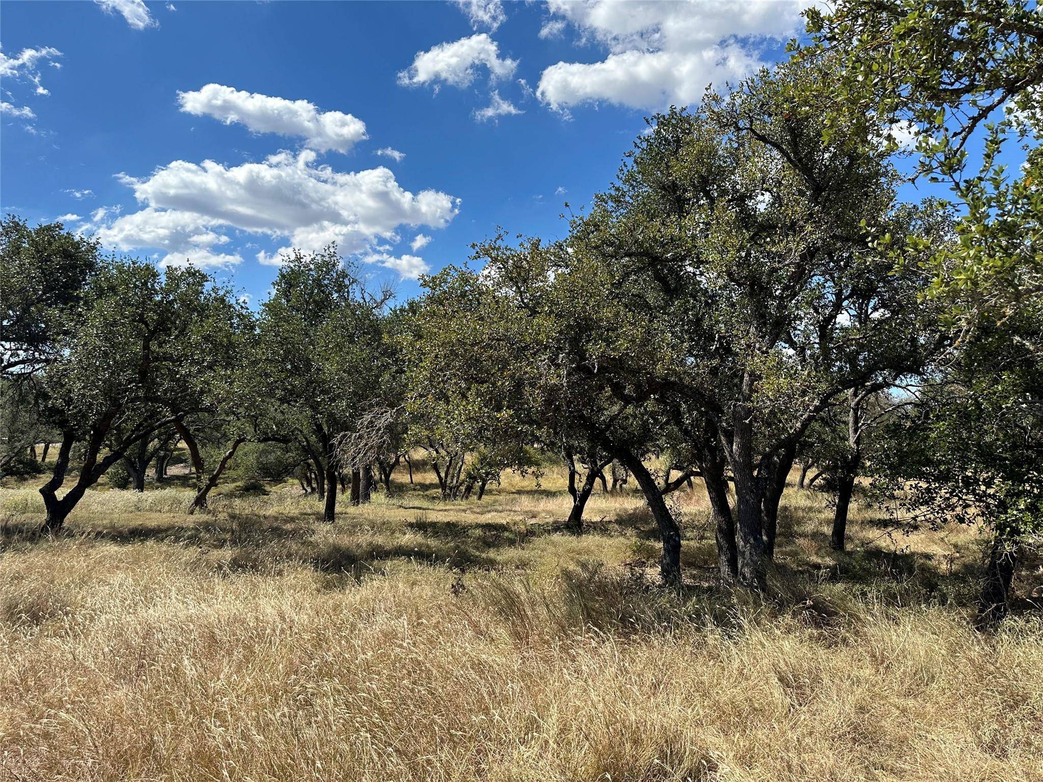 Fredericksburg, TX 78624,1058 Jacob