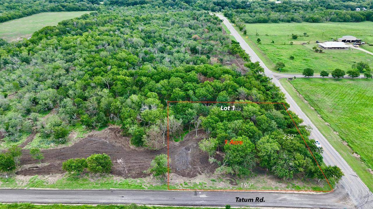 Martindale, TX 78655,Lot 1 - TBD Tatum RD