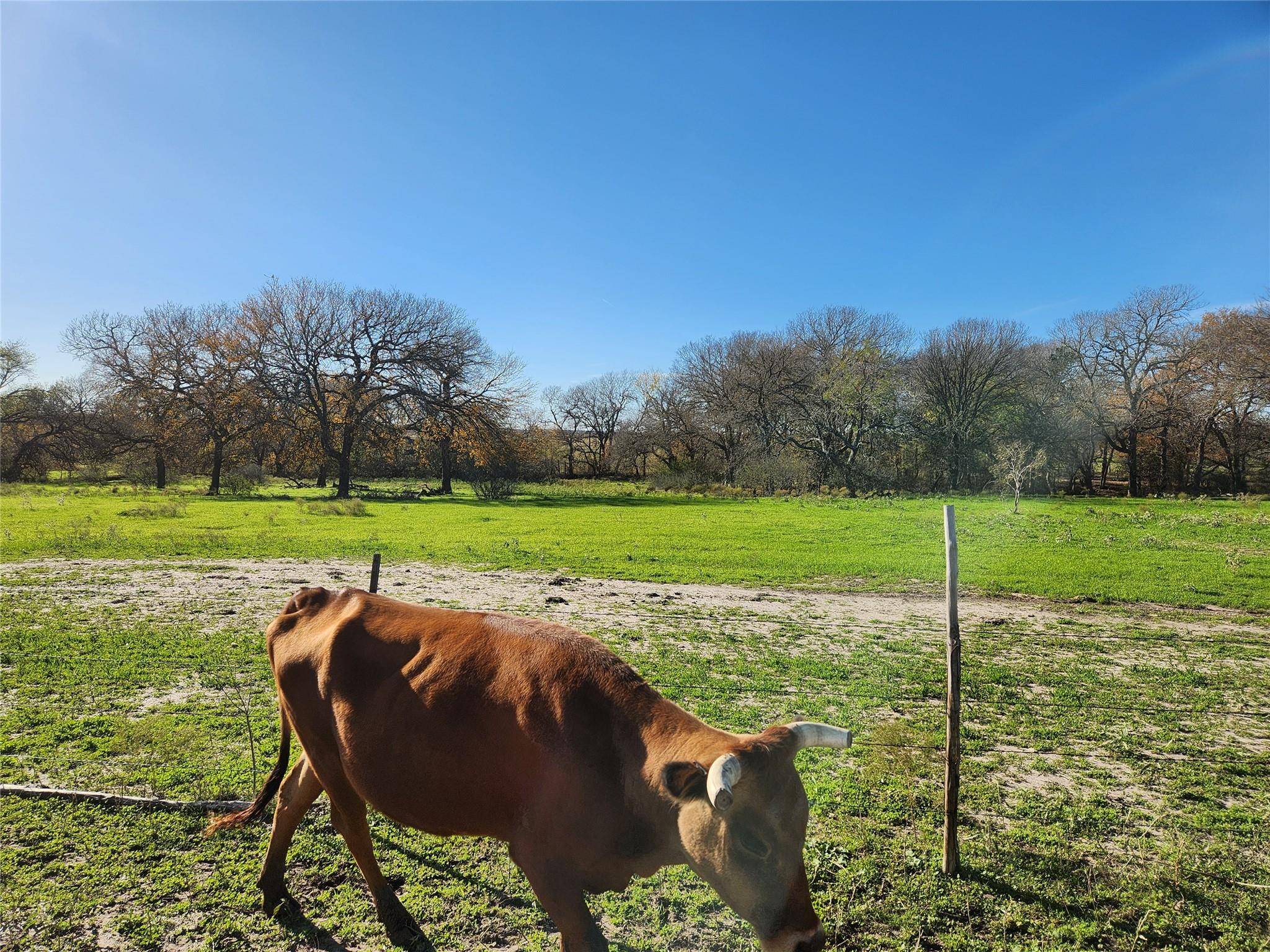 Buckholts, TX 76518,000 C. R. 414 RD