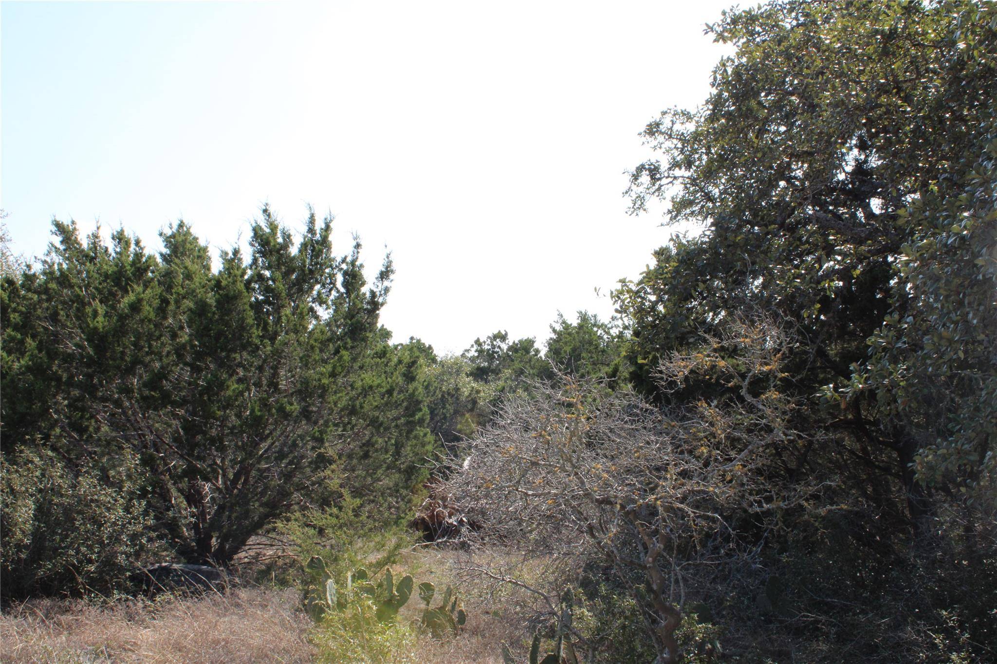 Fischer, TX 78623,251 Serenity