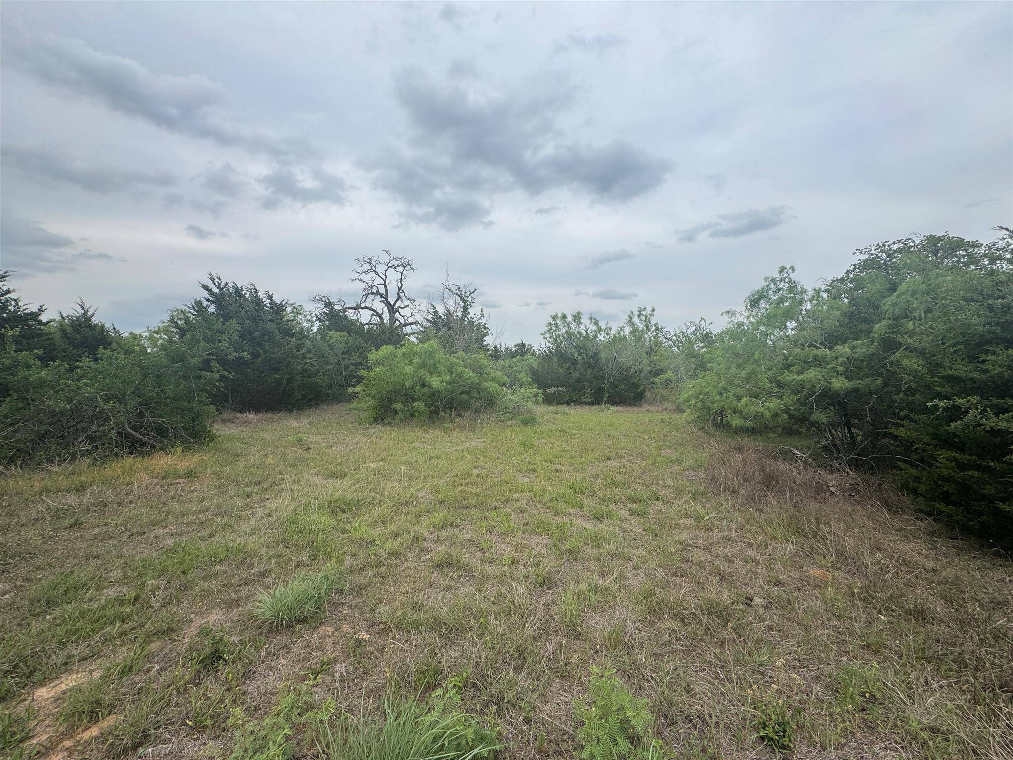Cedar Creek, TX 78612,TBD Della LN