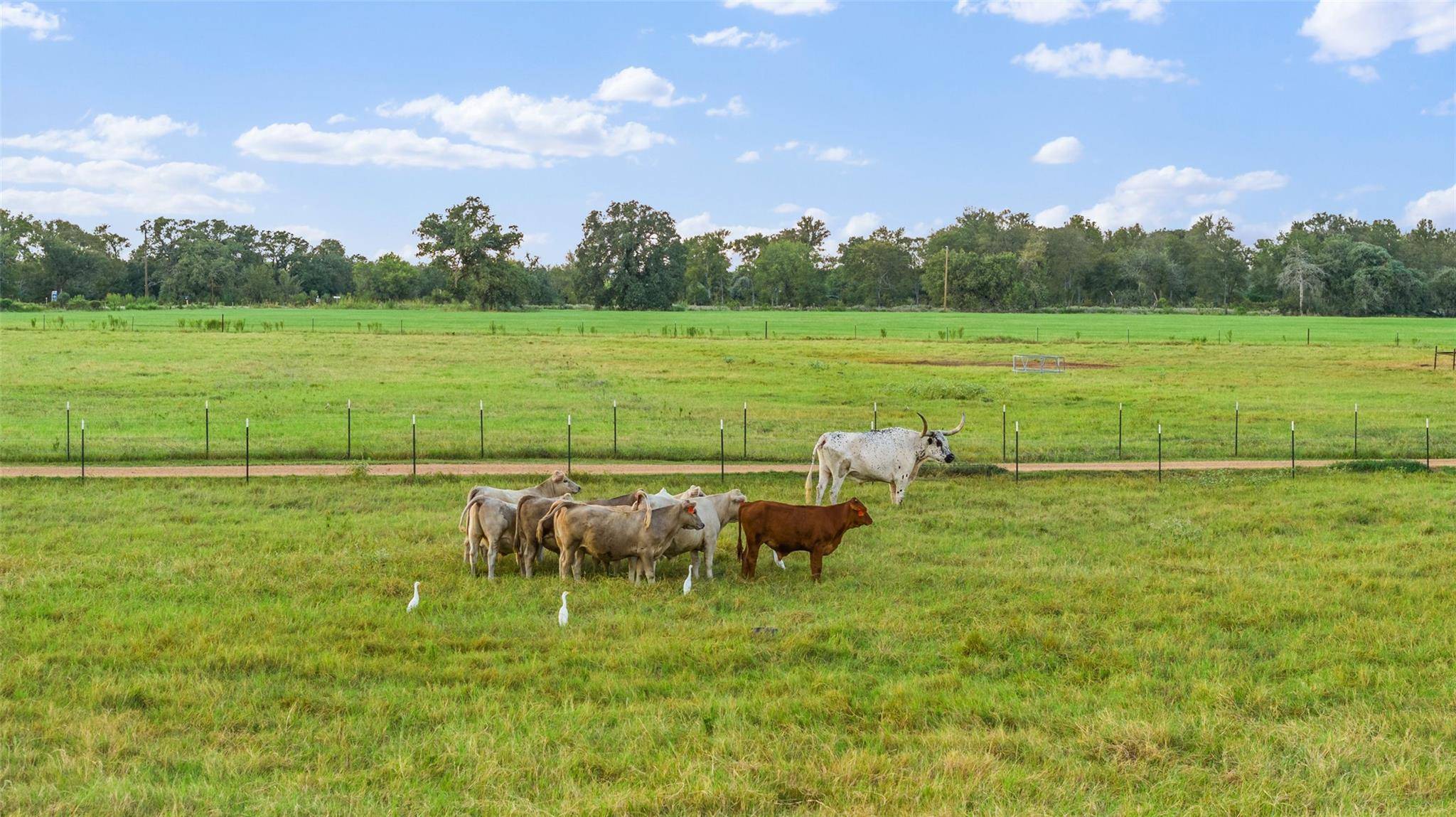 Bastrop, TX 78602,1327 Farm to Market 969