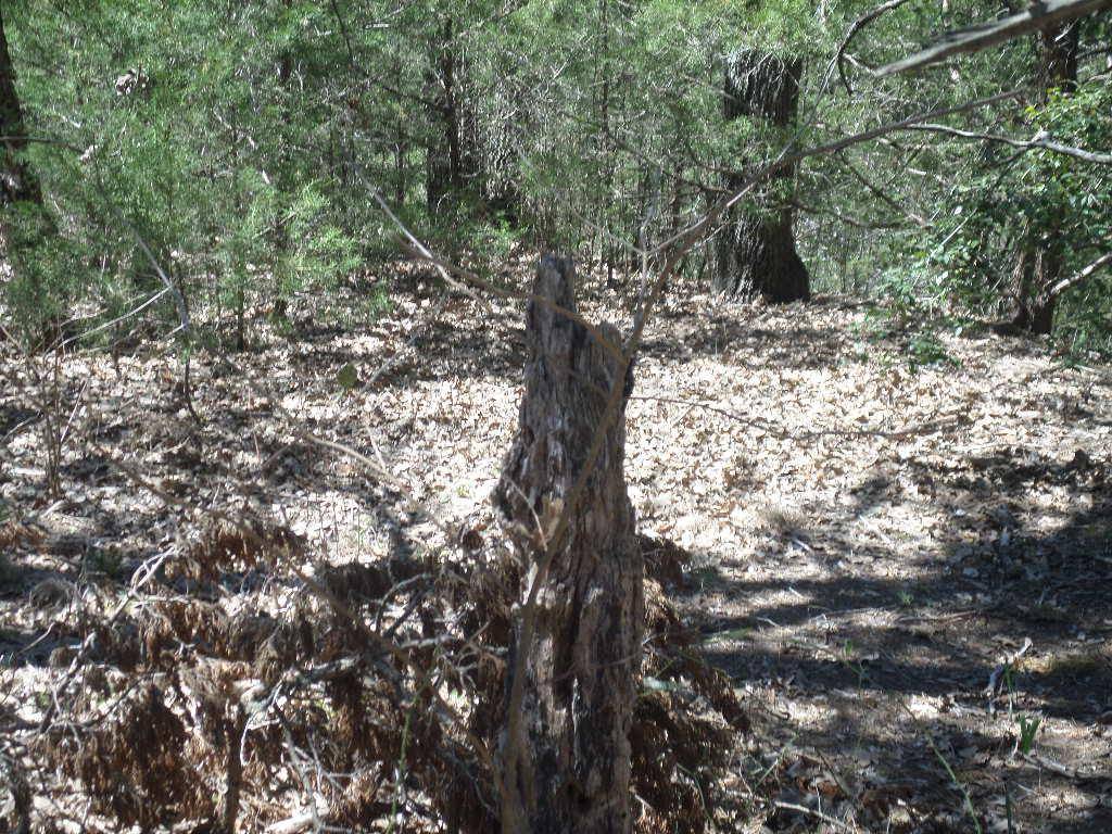 Cedar Creek, TX 78612,TBD R68370 Walter Hoffman RD #H