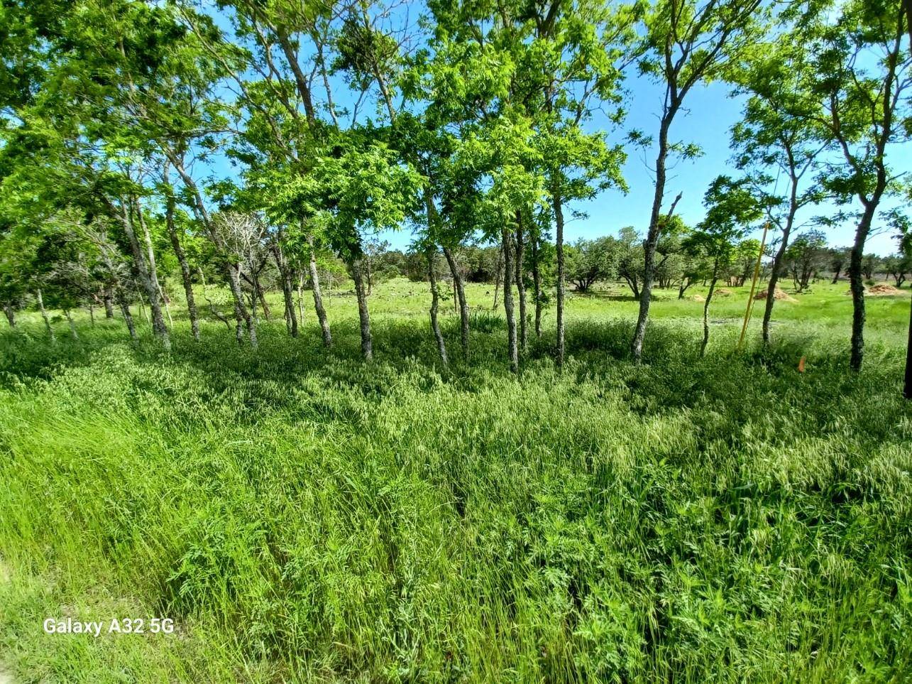 Burnet, TX 78611,319 Sunset DR #Lot 1and Lot 2