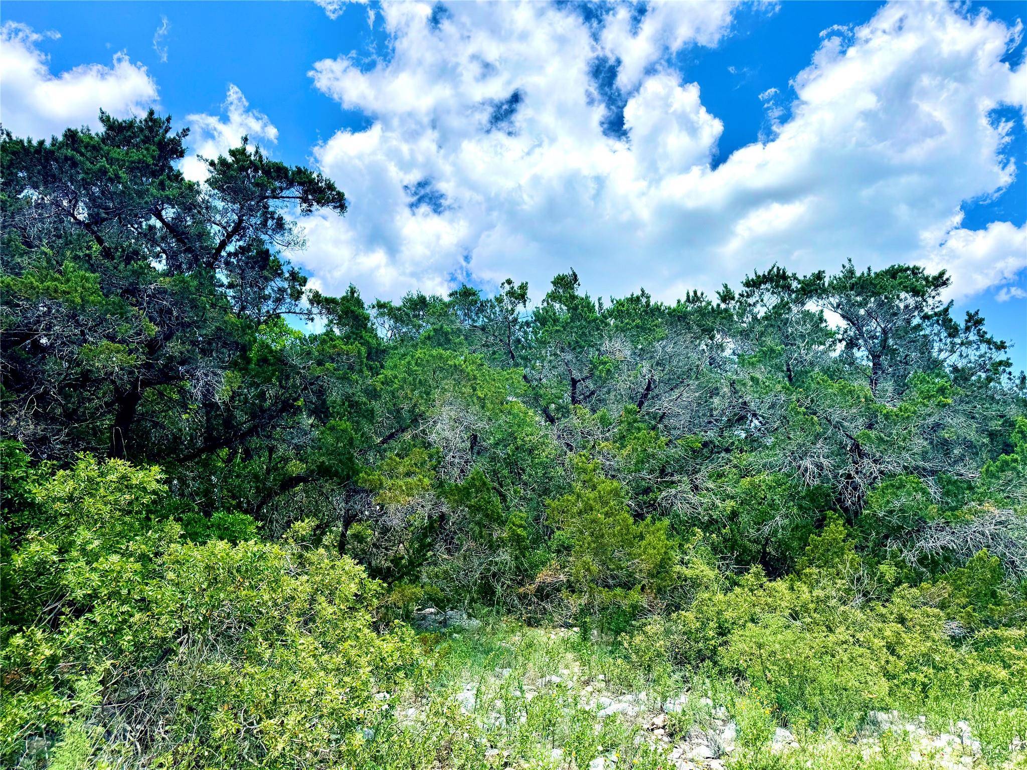 Mico, TX 78056,LOT 2, UNIT 4 Private Rd 2771