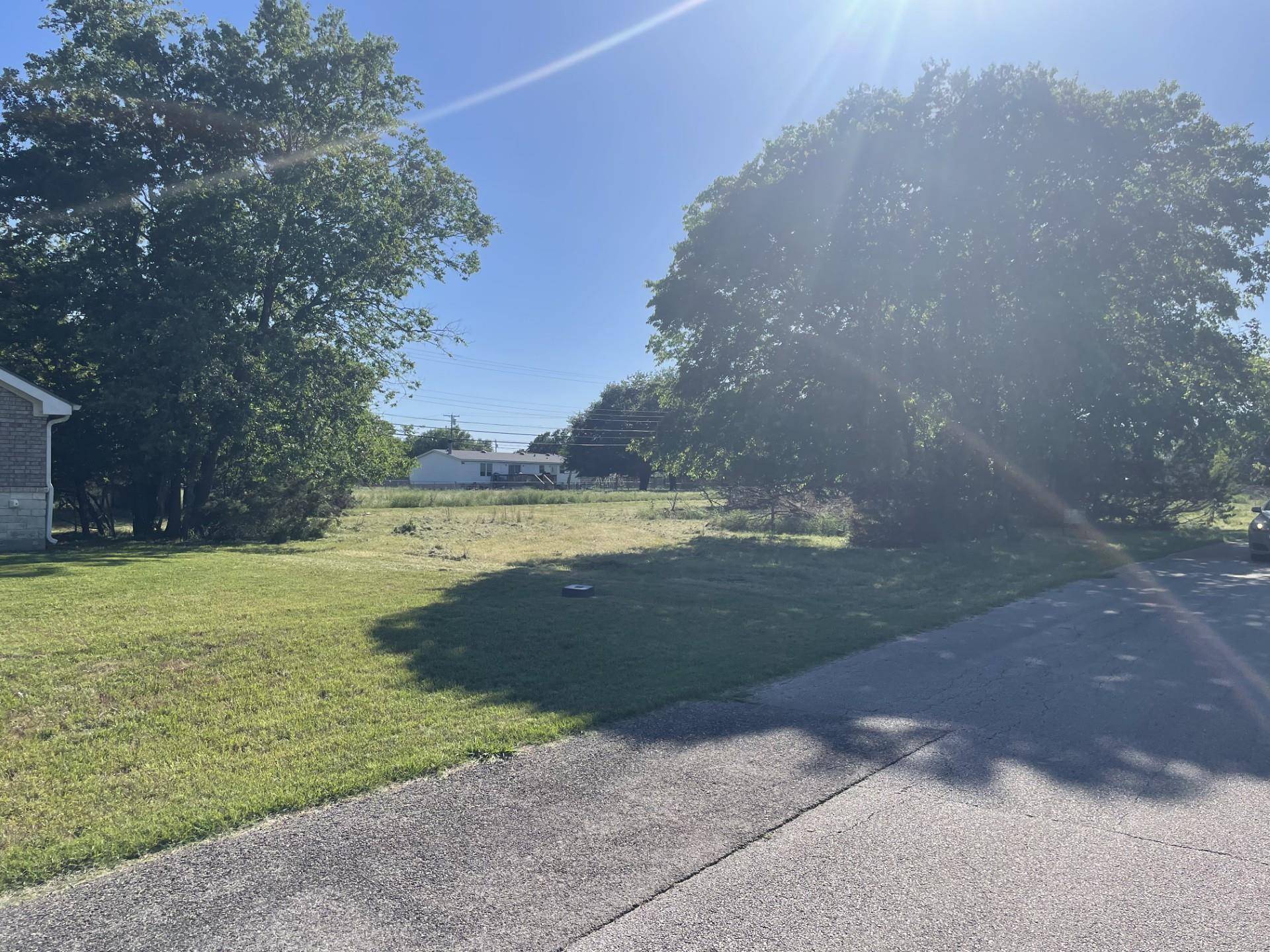 Belton, TX 76513,10 Buckskin LOOP