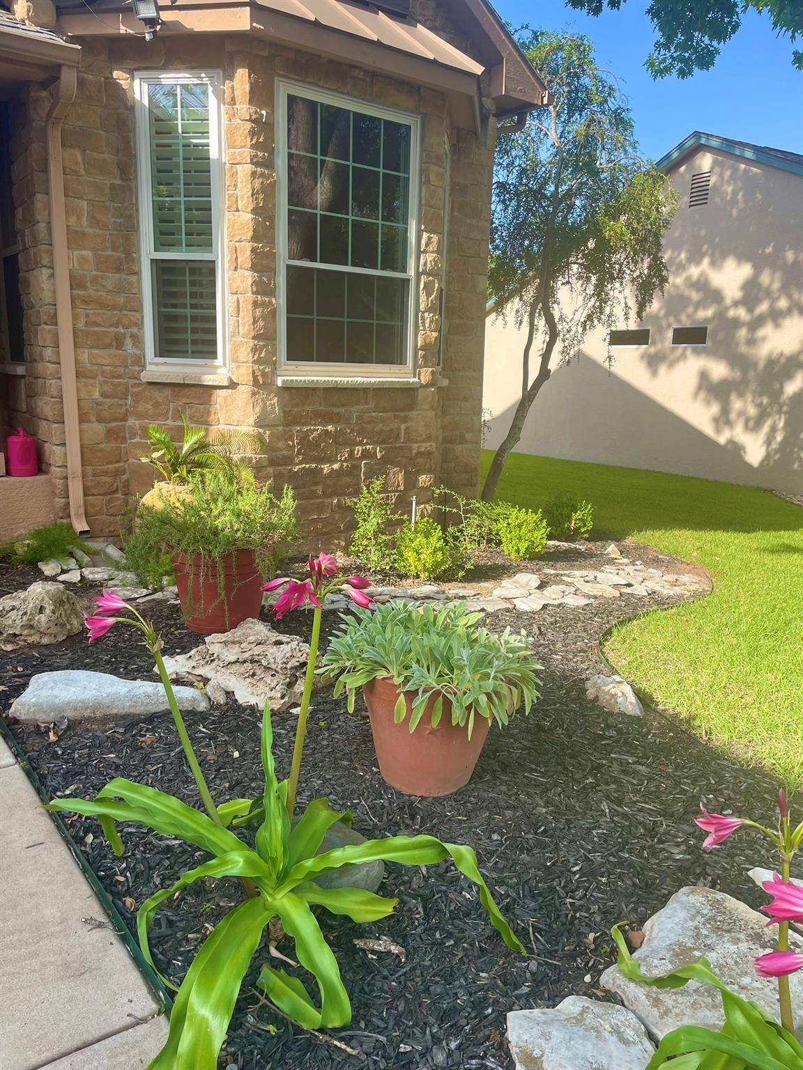 Georgetown, TX 78633,107 Yaupon LN