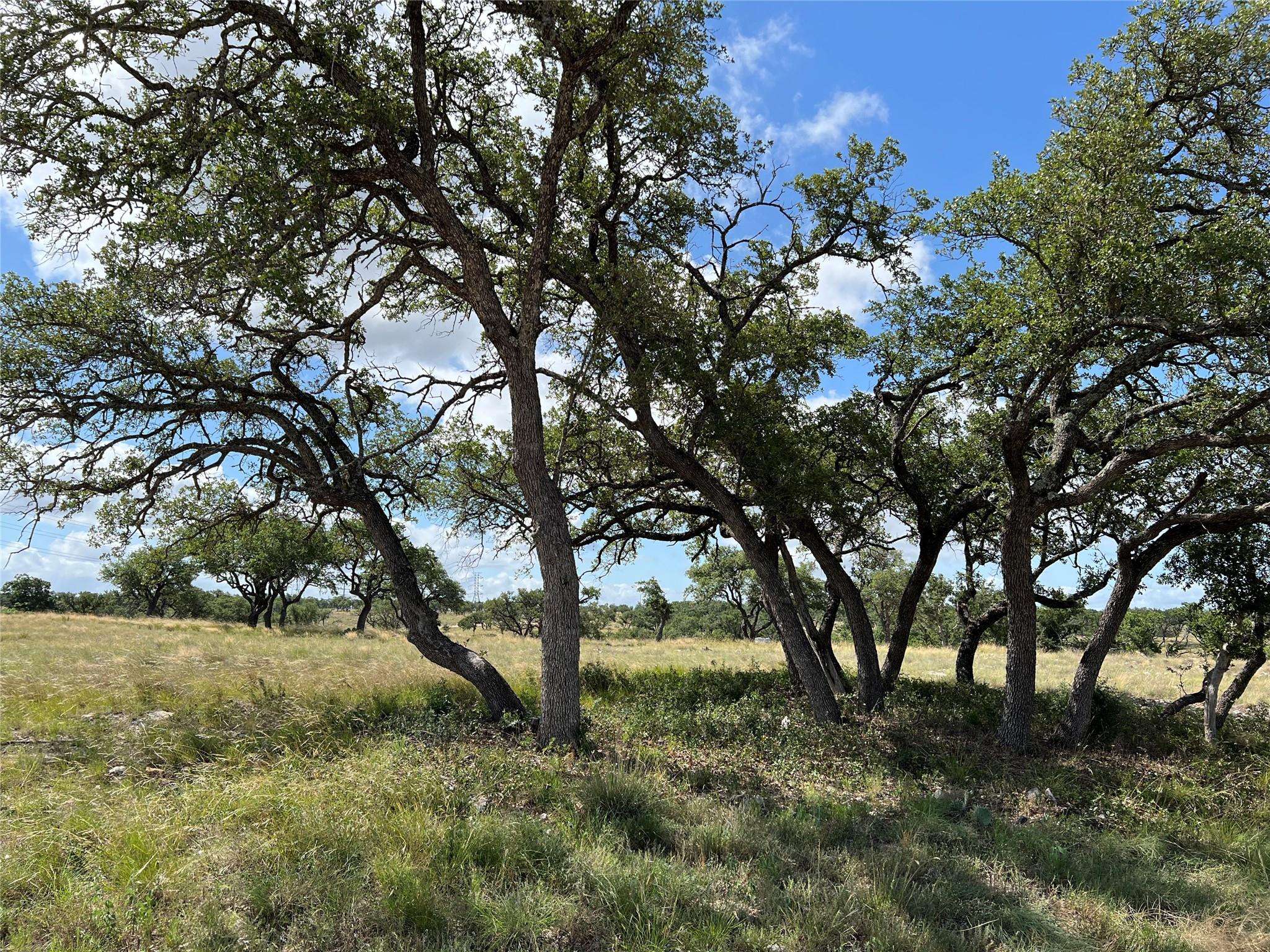 Junction, TX 76849,TBD S3660 Spring XING