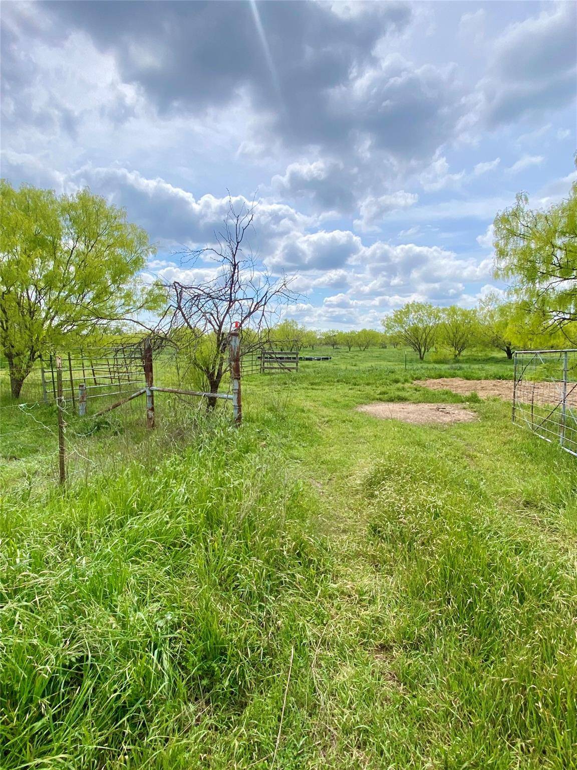 Burnet, TX 78611,65 Acres County Road 200