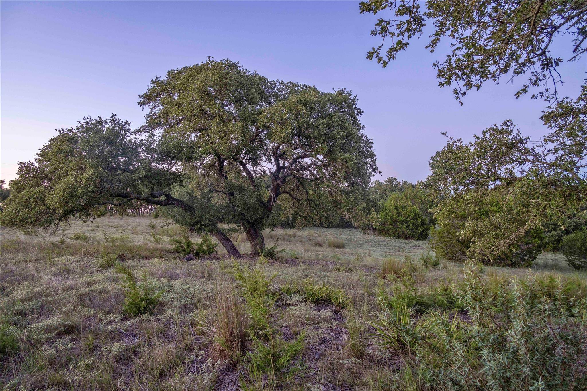 Lampasas, TX 76550,Lot 211 Axis WAY