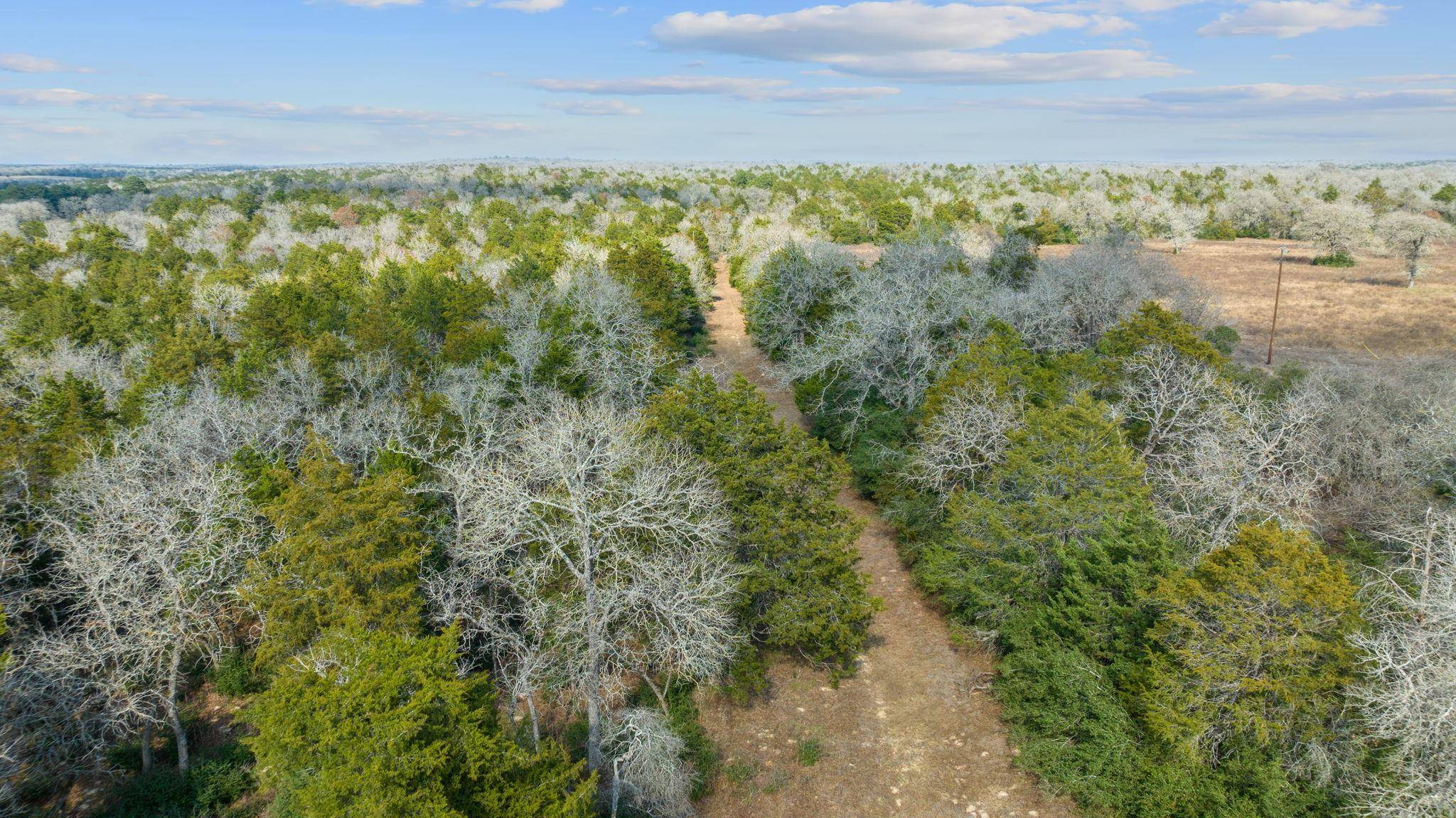 Rosanky, TX 78953,16945 FM 713