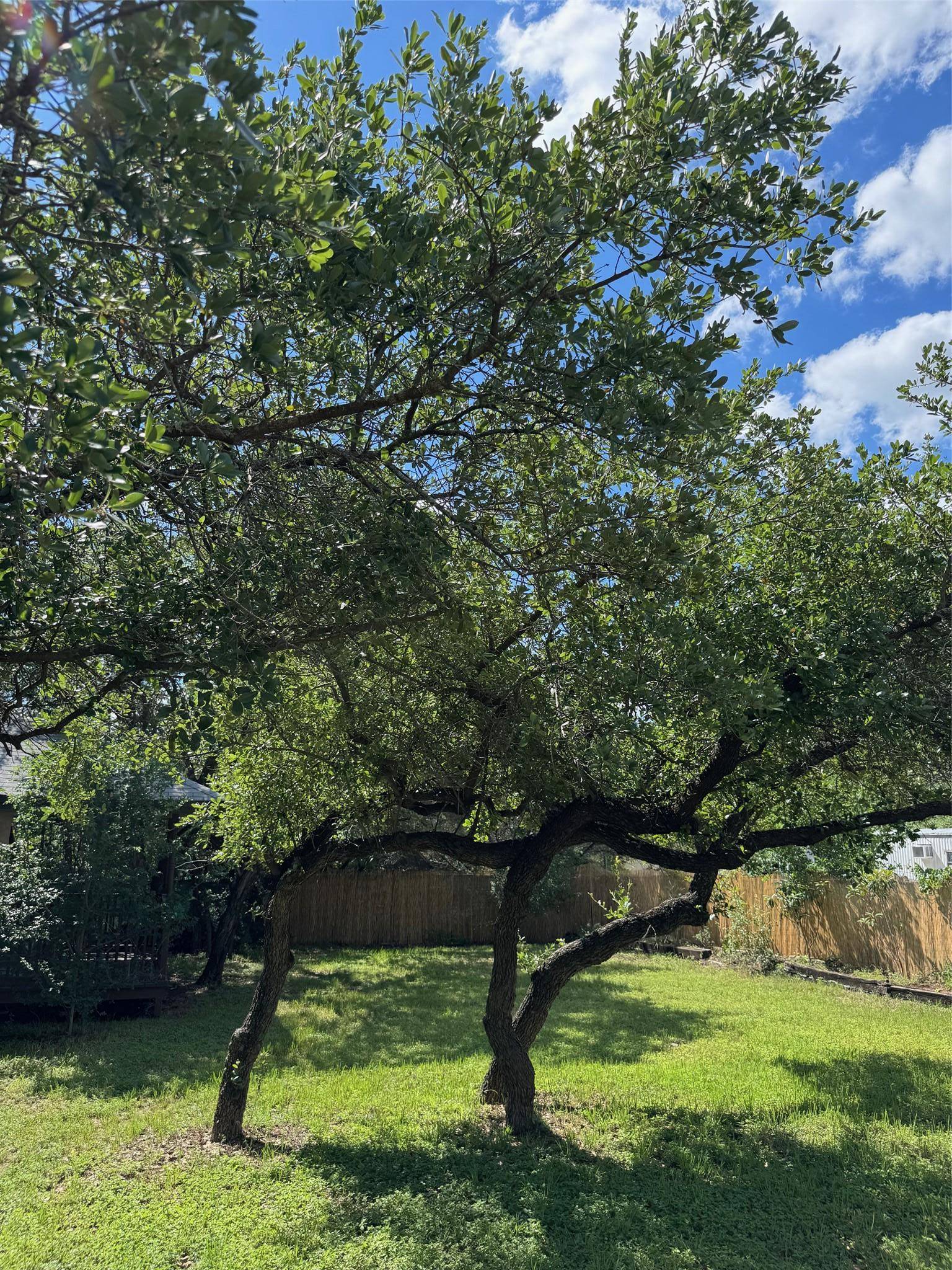 Austin, TX 78733,1203 N Cuernavaca DR N
