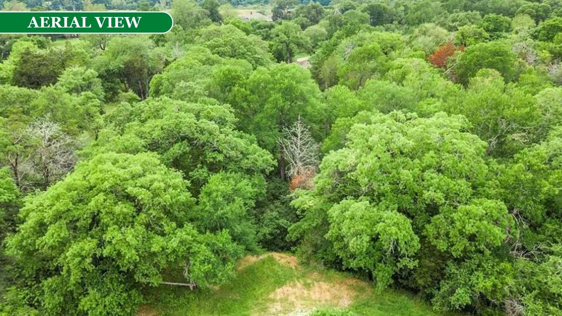 Bastrop, TX 78602,000 Kaanapali LN