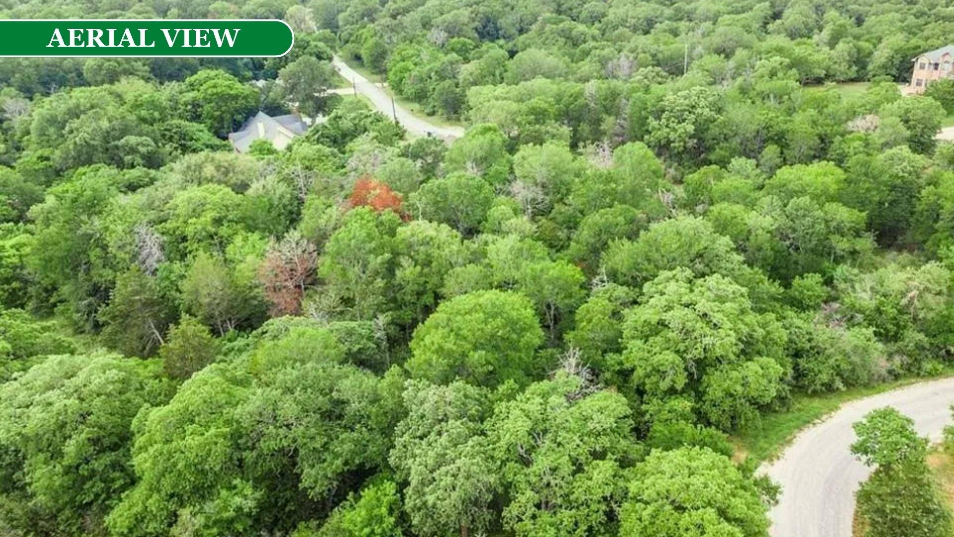 Bastrop, TX 78602,000 Kaanapali LN