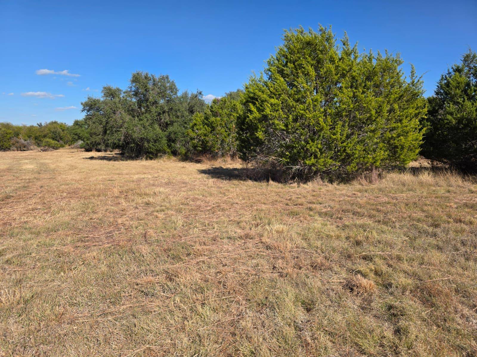 Briggs, TX 78608,TBD Avila Ln