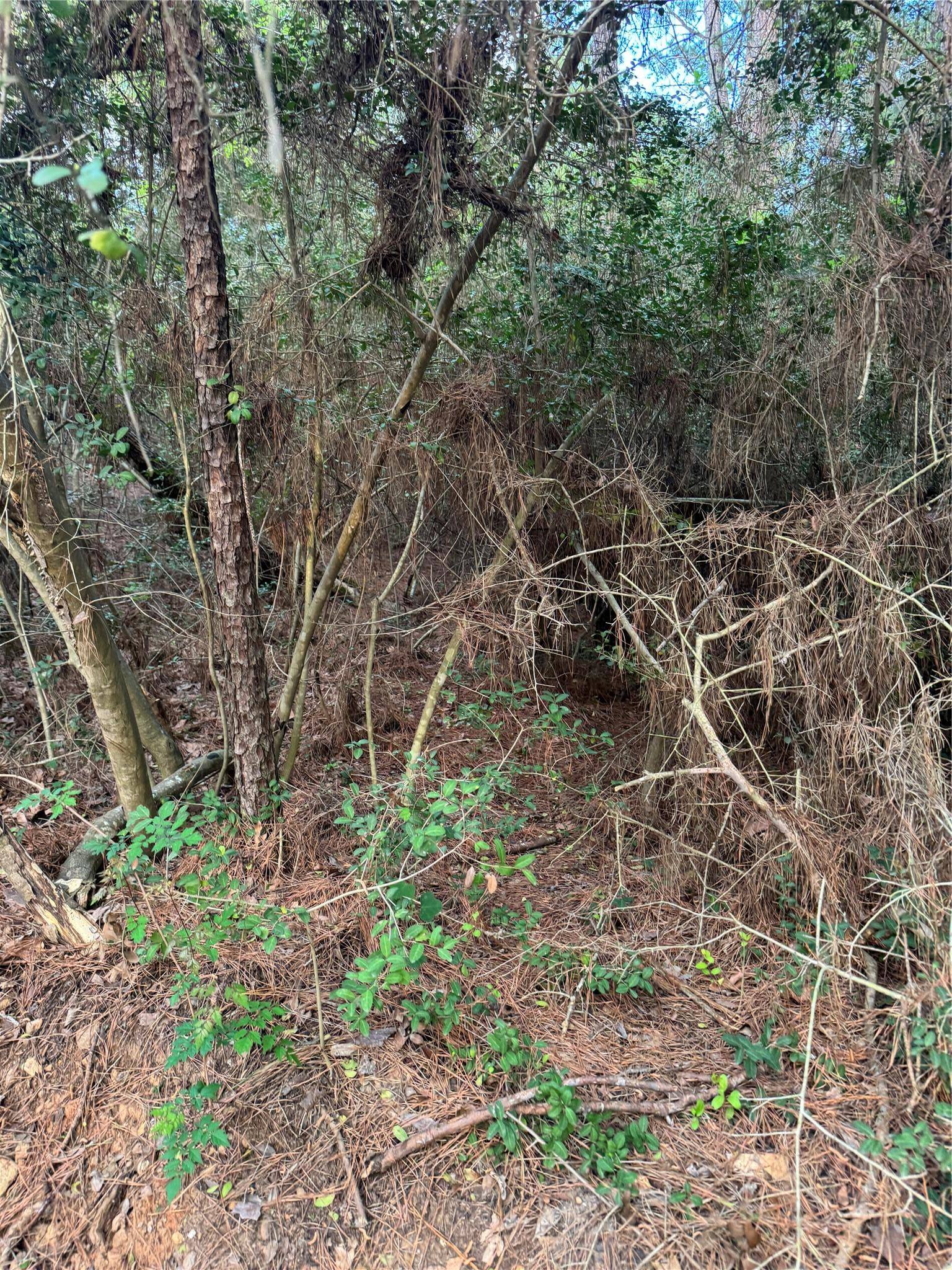 Bastrop, TX 78602,Lots 158 and 159 Hekili DR