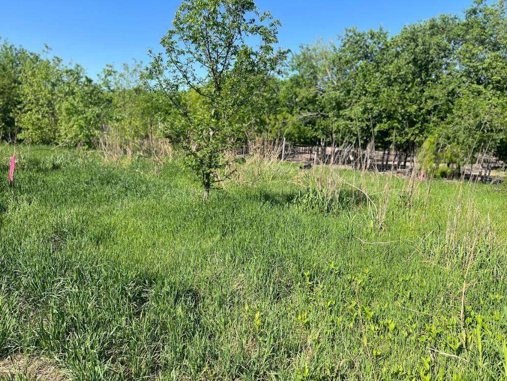 Bartlett, TX 76511,W Brook St(Lot #2, Bk 72) W Brook ST