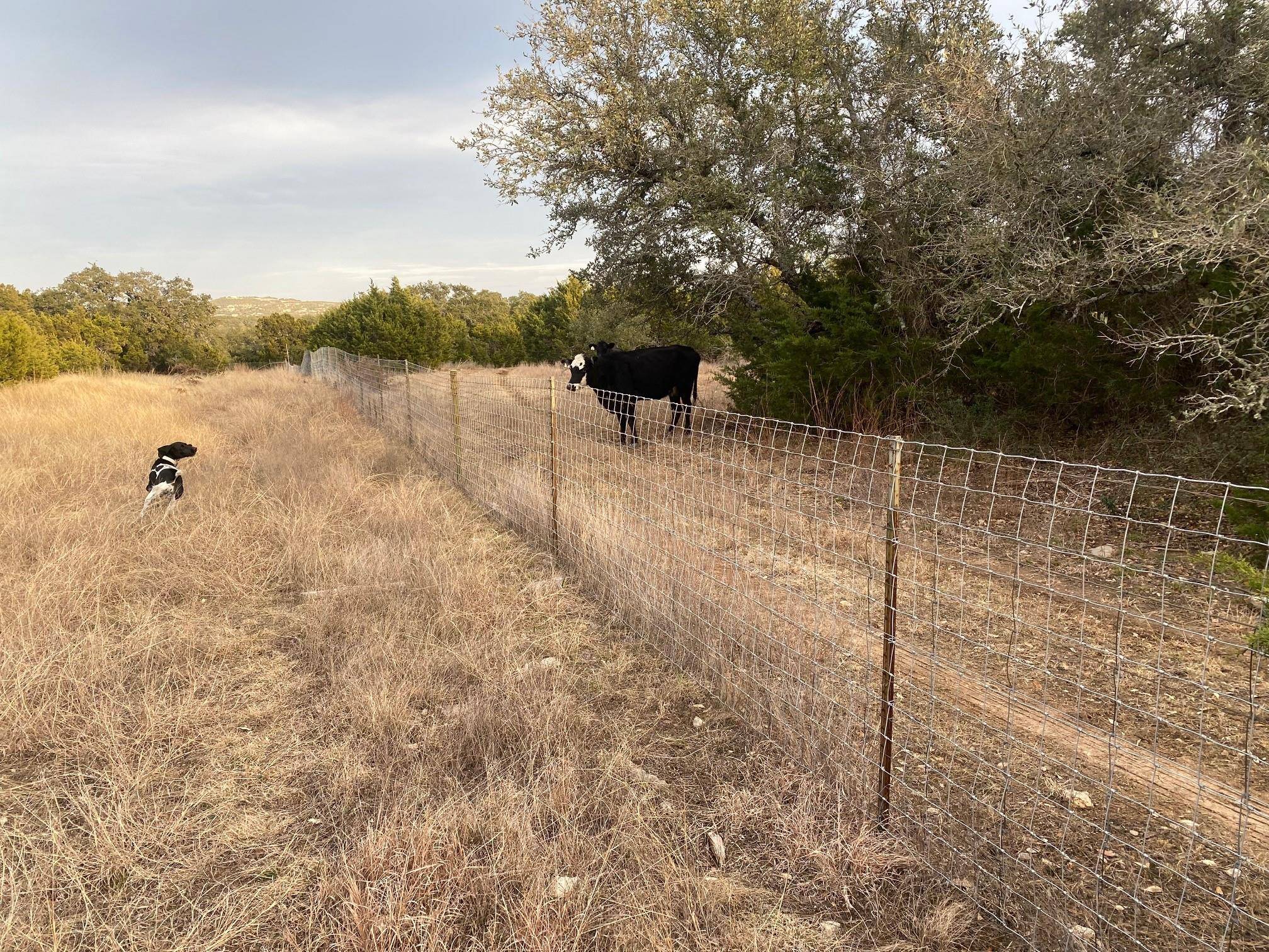 Johnson City, TX 78636,Lot 94 E Dripping View CT